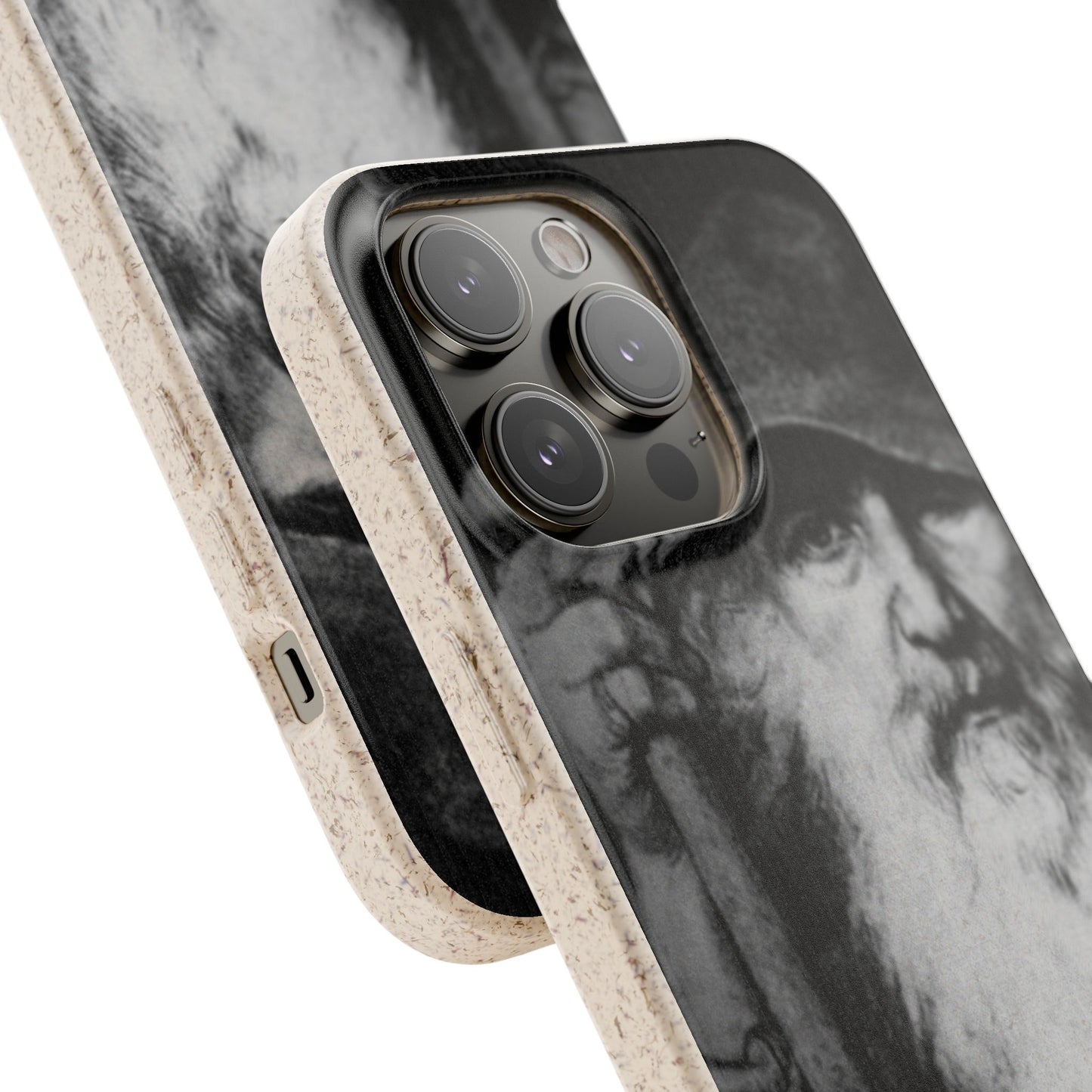 Phone Case — Odin, The Wanderer Portrait Biodegradable iPhone Cover
