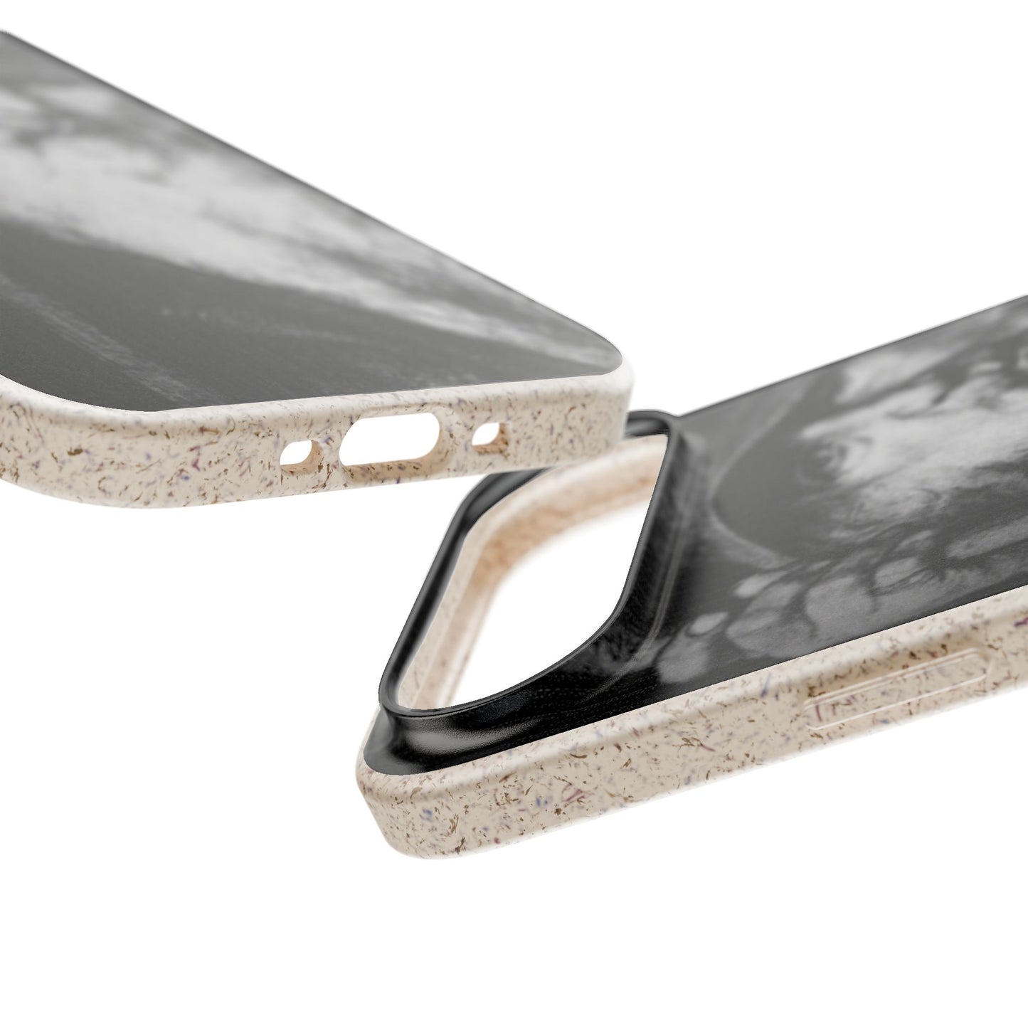 Phone Case — Odin, The Wanderer Portrait Biodegradable iPhone Cover