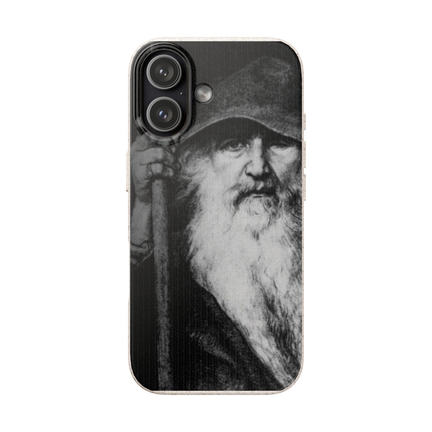 Phone Case — Odin, The Wanderer Portrait Biodegradable iPhone Cover