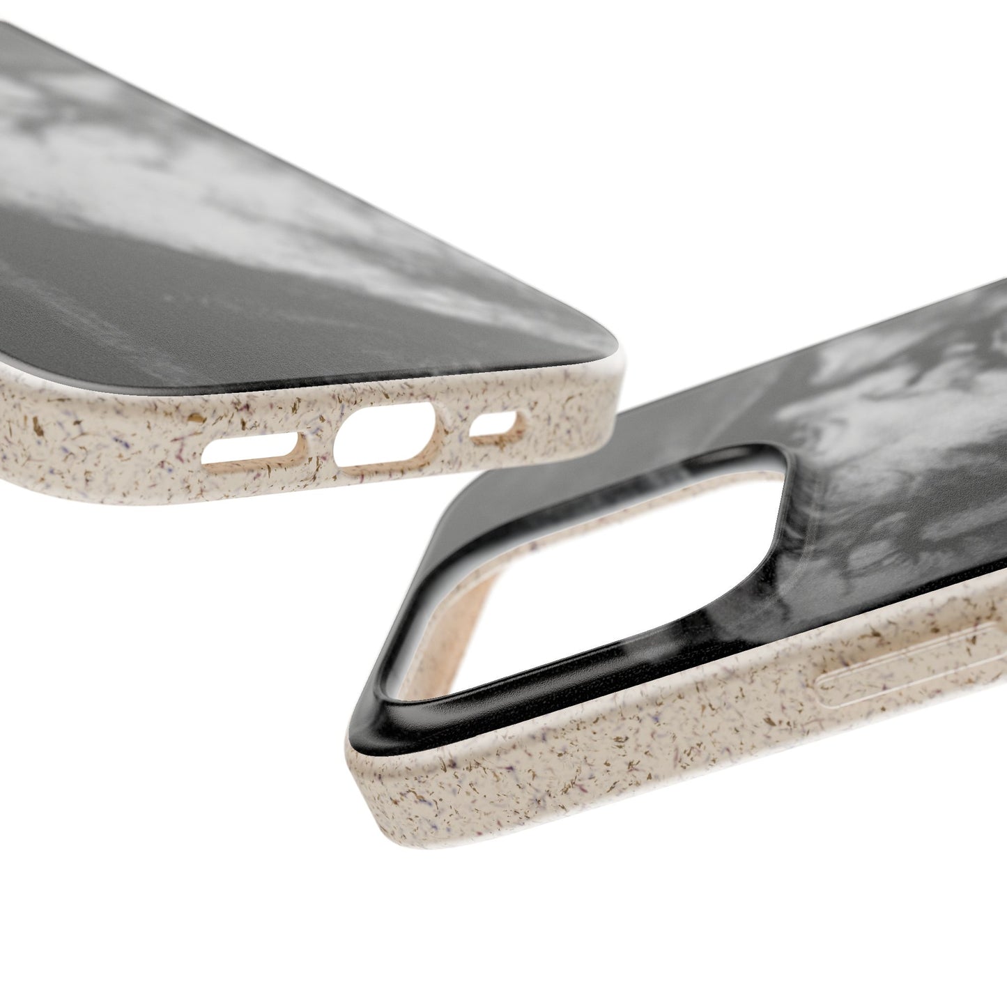 Phone Case — Odin, The Wanderer Portrait Biodegradable iPhone Cover