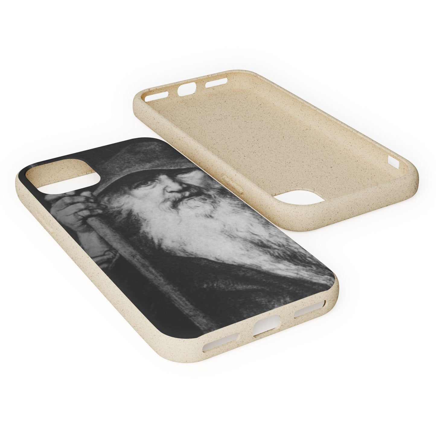 Phone Case — Odin, The Wanderer Portrait Biodegradable iPhone Cover