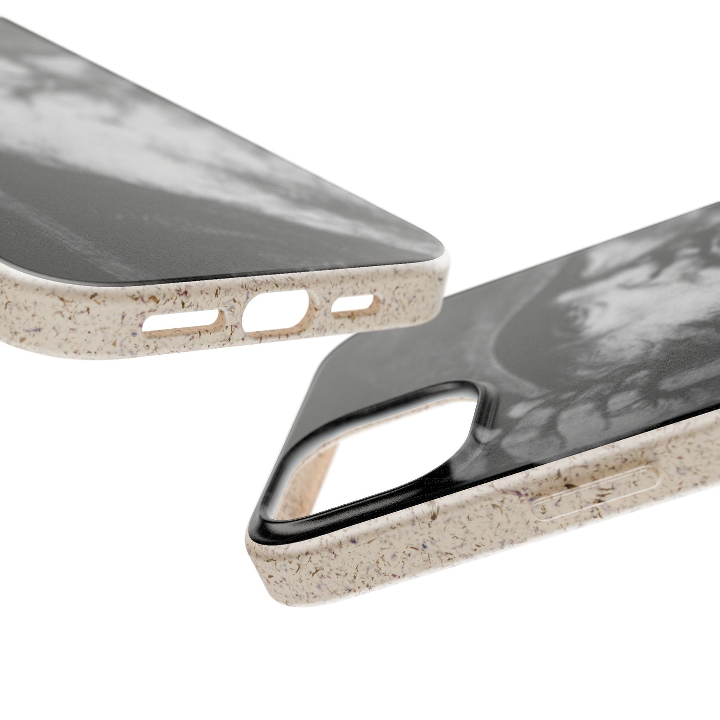 Phone Case — Odin, The Wanderer Portrait Biodegradable iPhone Cover