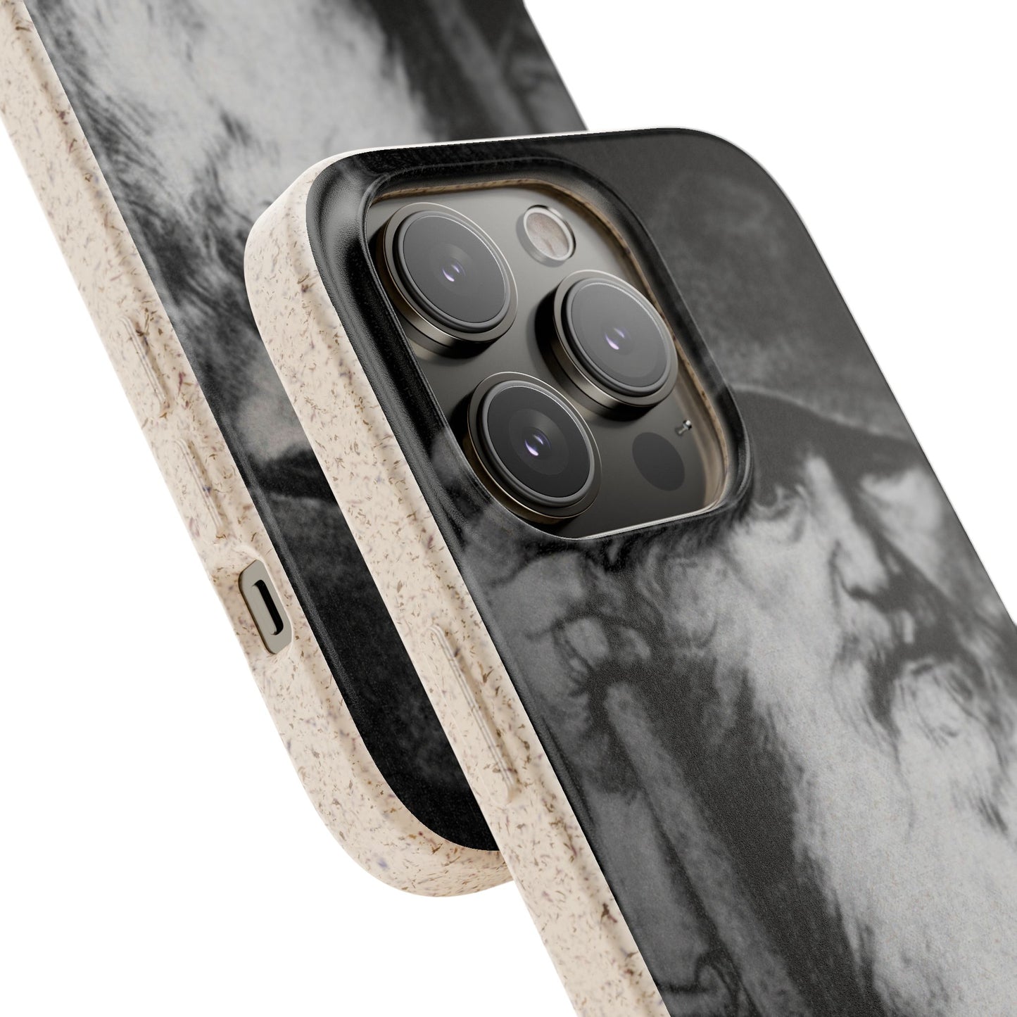 Phone Case — Odin, The Wanderer Portrait Biodegradable iPhone Cover