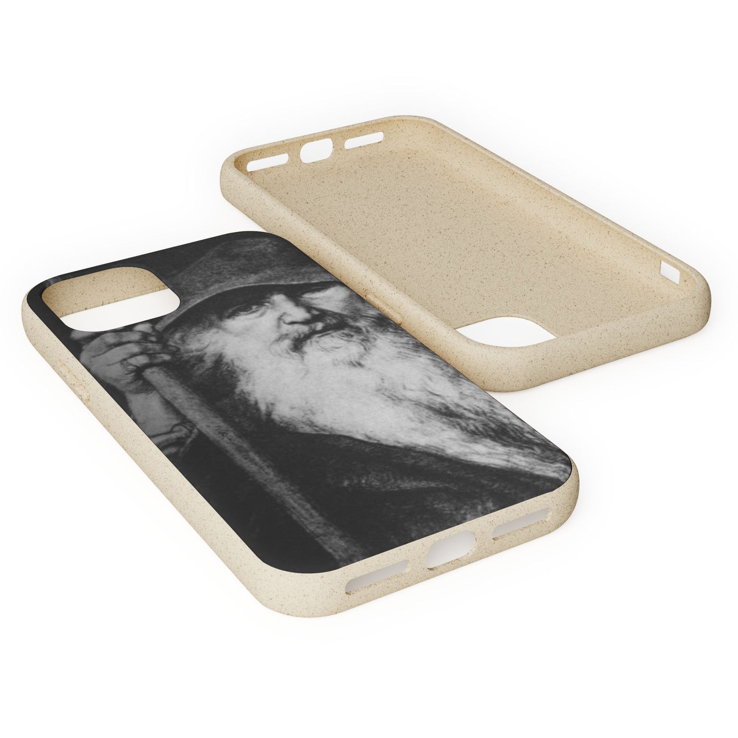 Phone Case — Odin, The Wanderer Portrait Biodegradable iPhone Cover