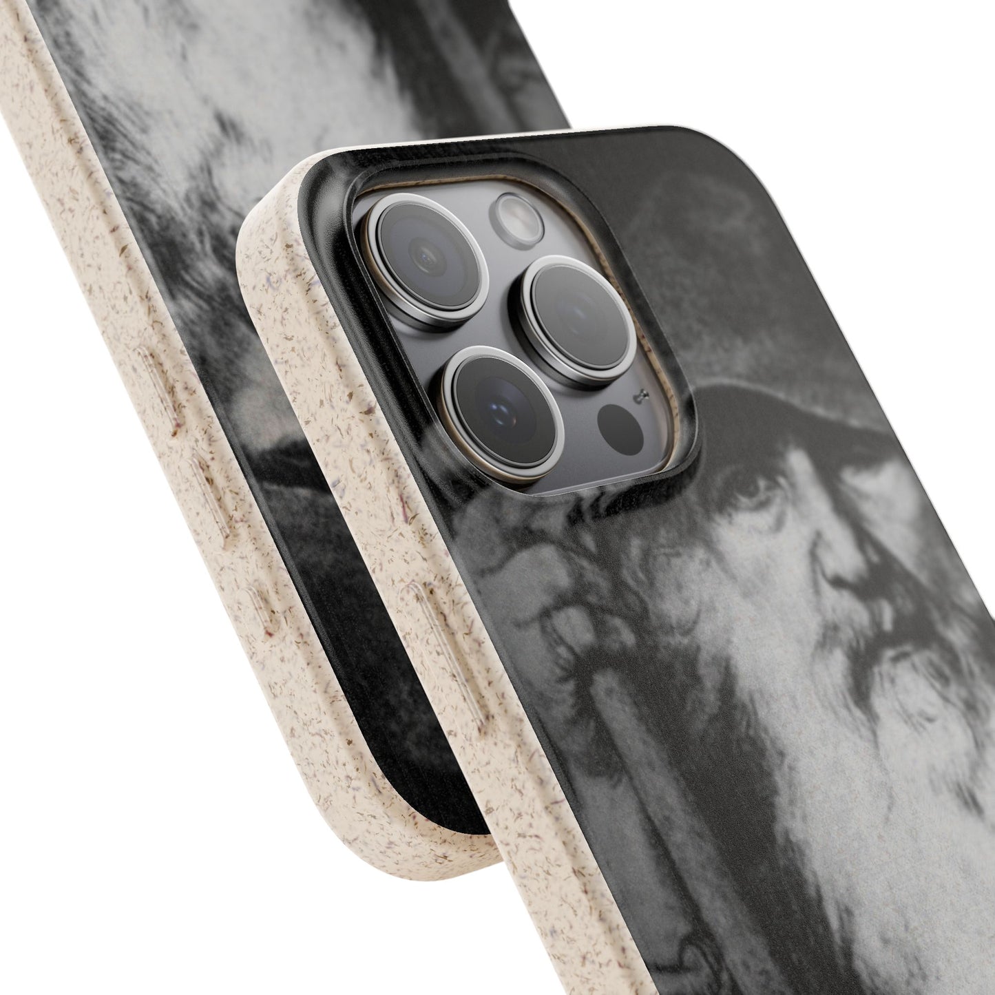 Phone Case — Odin, The Wanderer Portrait Biodegradable iPhone Cover