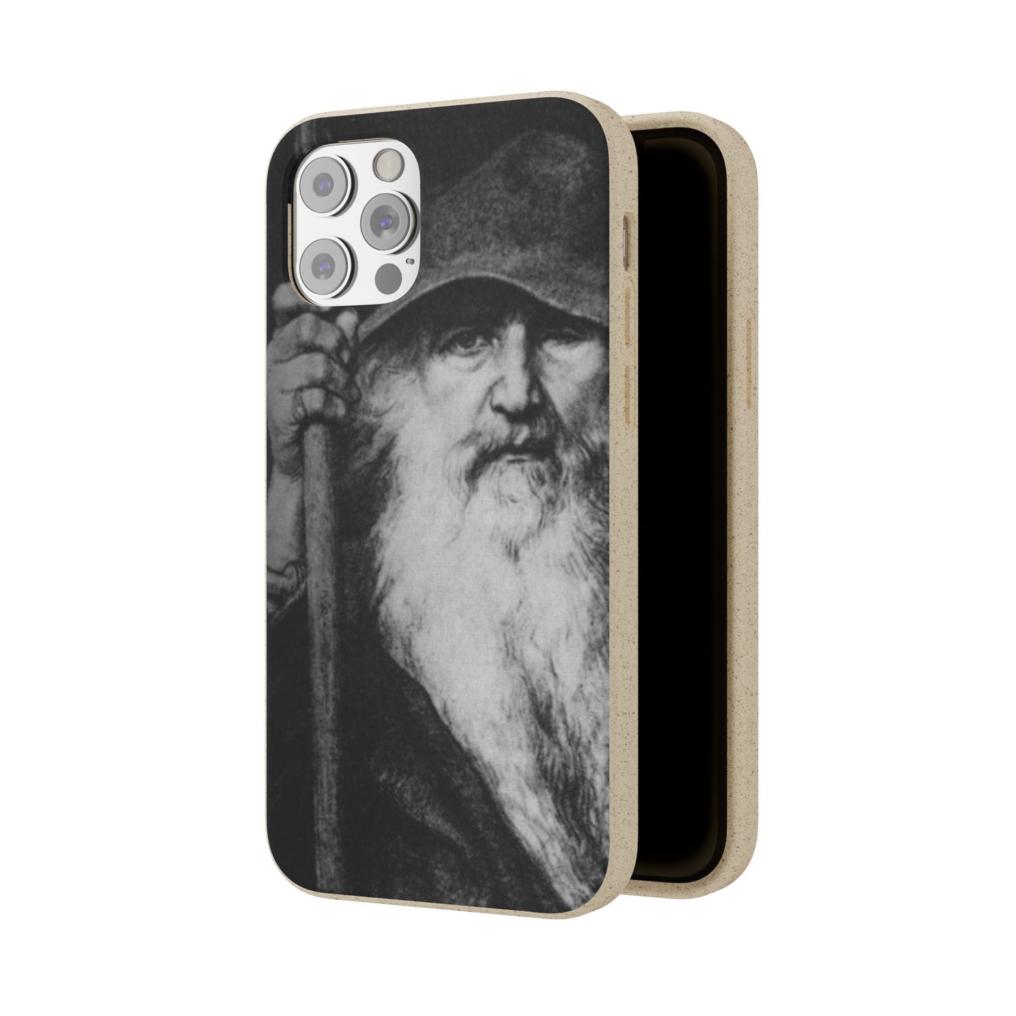 Phone Case — Odin, The Wanderer Portrait Biodegradable iPhone Cover