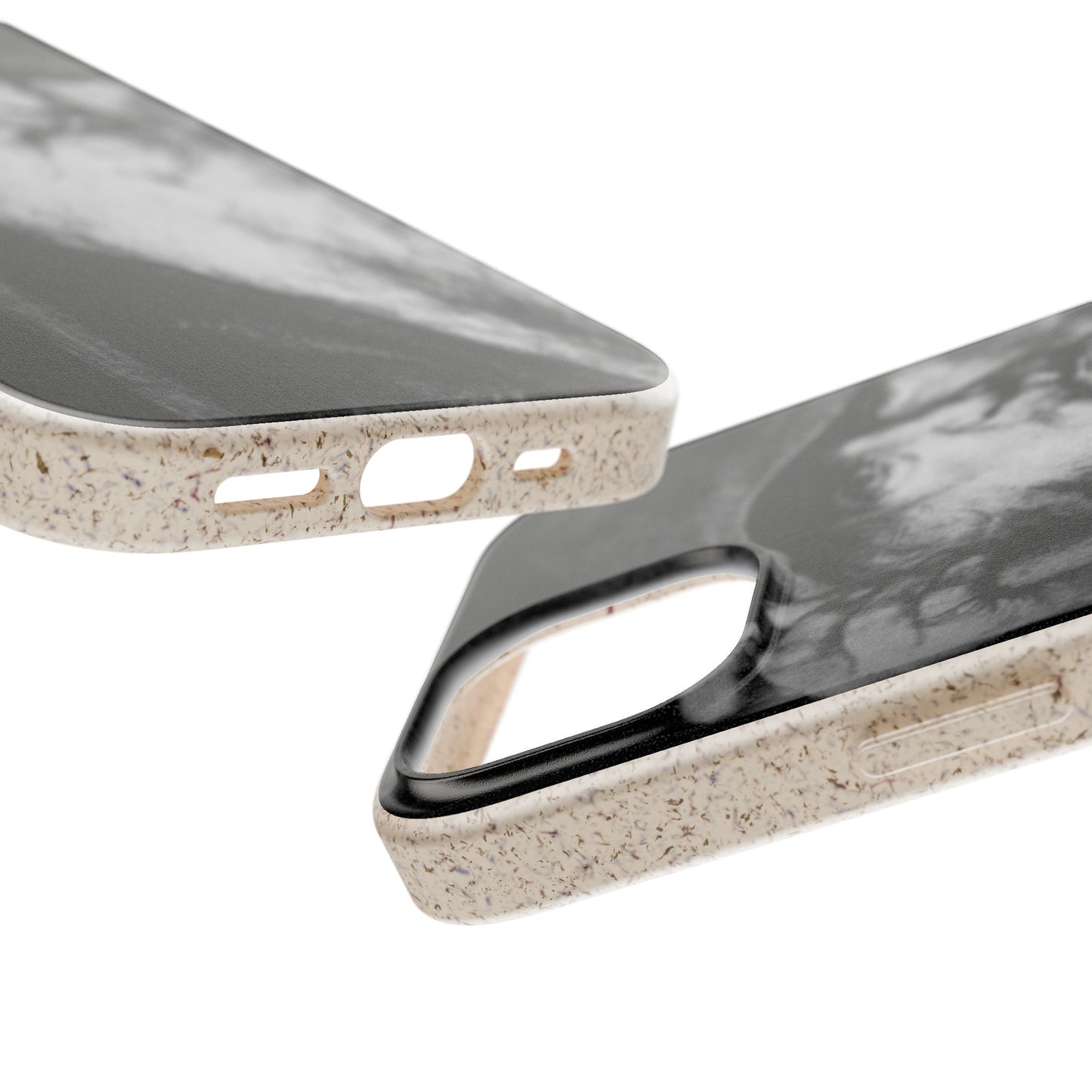 Phone Case — Odin, The Wanderer Portrait Biodegradable iPhone Cover