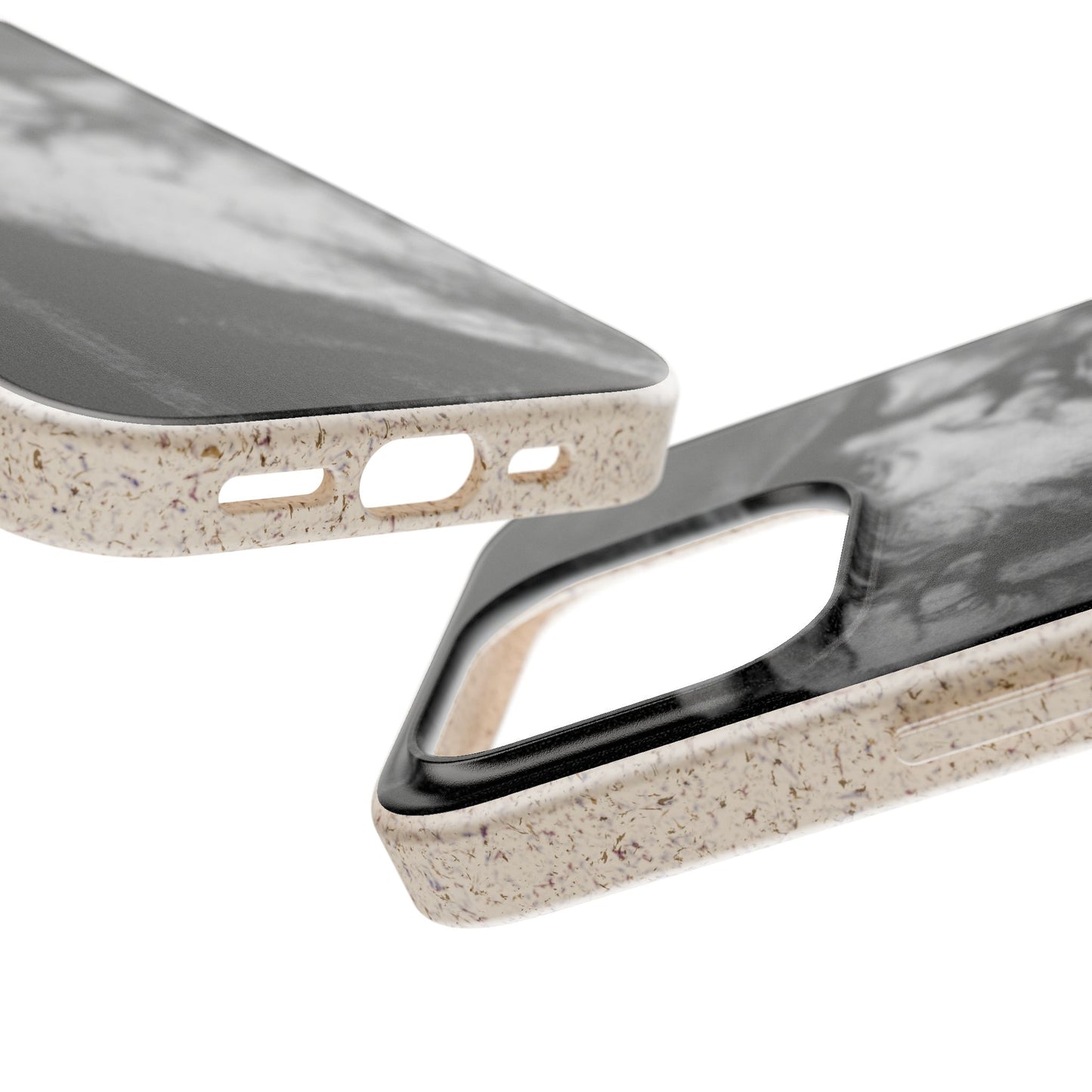 Phone Case — Odin, The Wanderer Portrait Biodegradable iPhone Cover