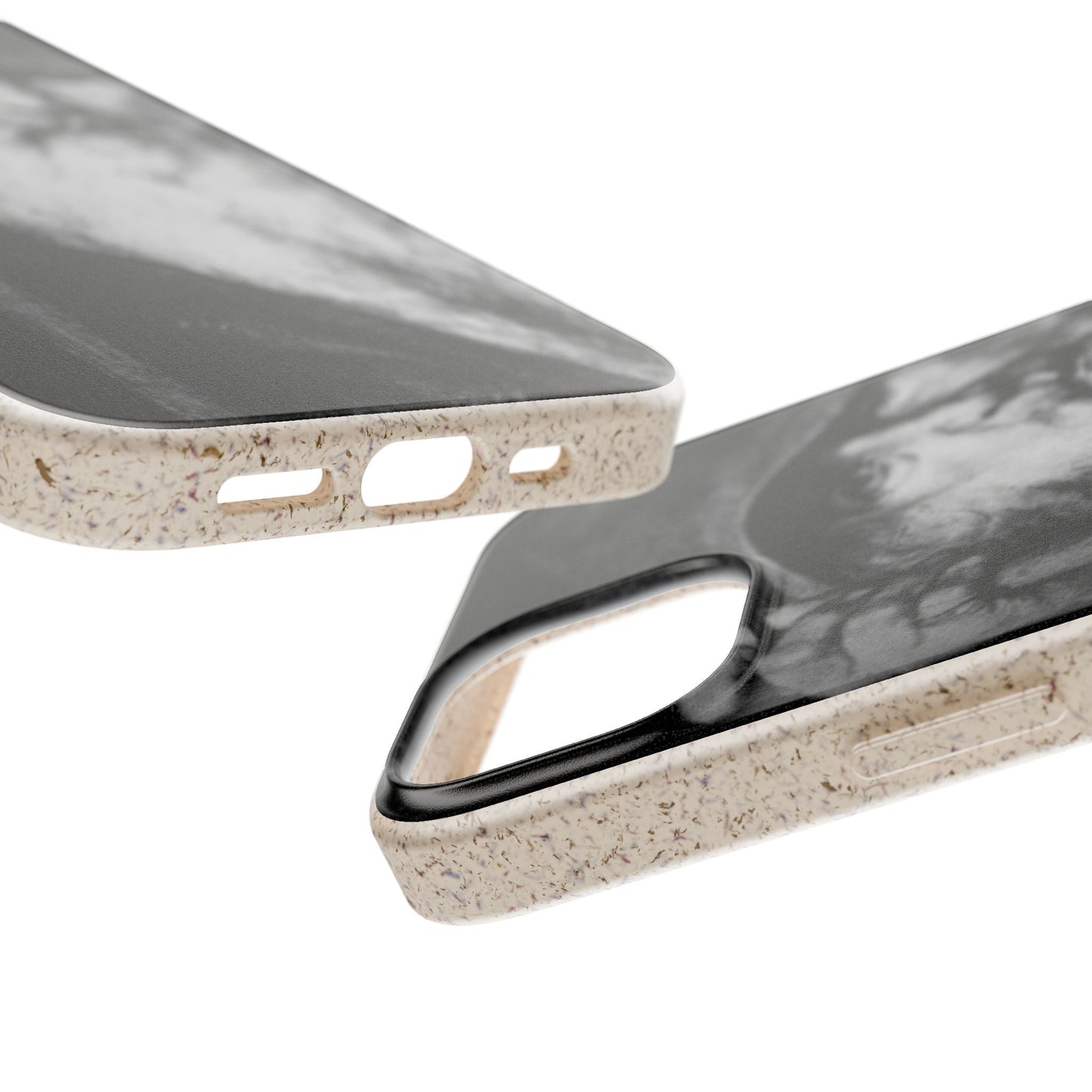 Phone Case — Odin, The Wanderer Portrait Biodegradable iPhone Cover