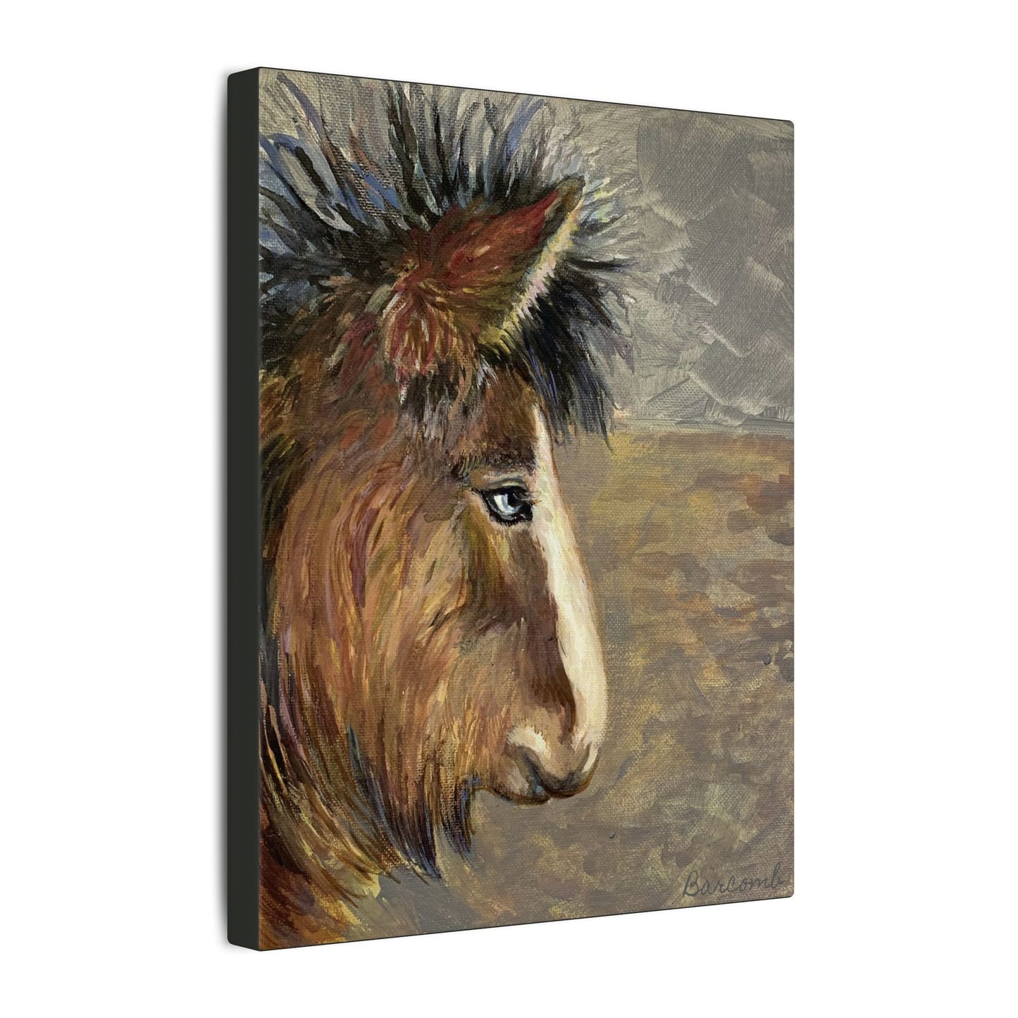 Rustic Icelandic Horse Portrait - Eco-Friendly Canvas