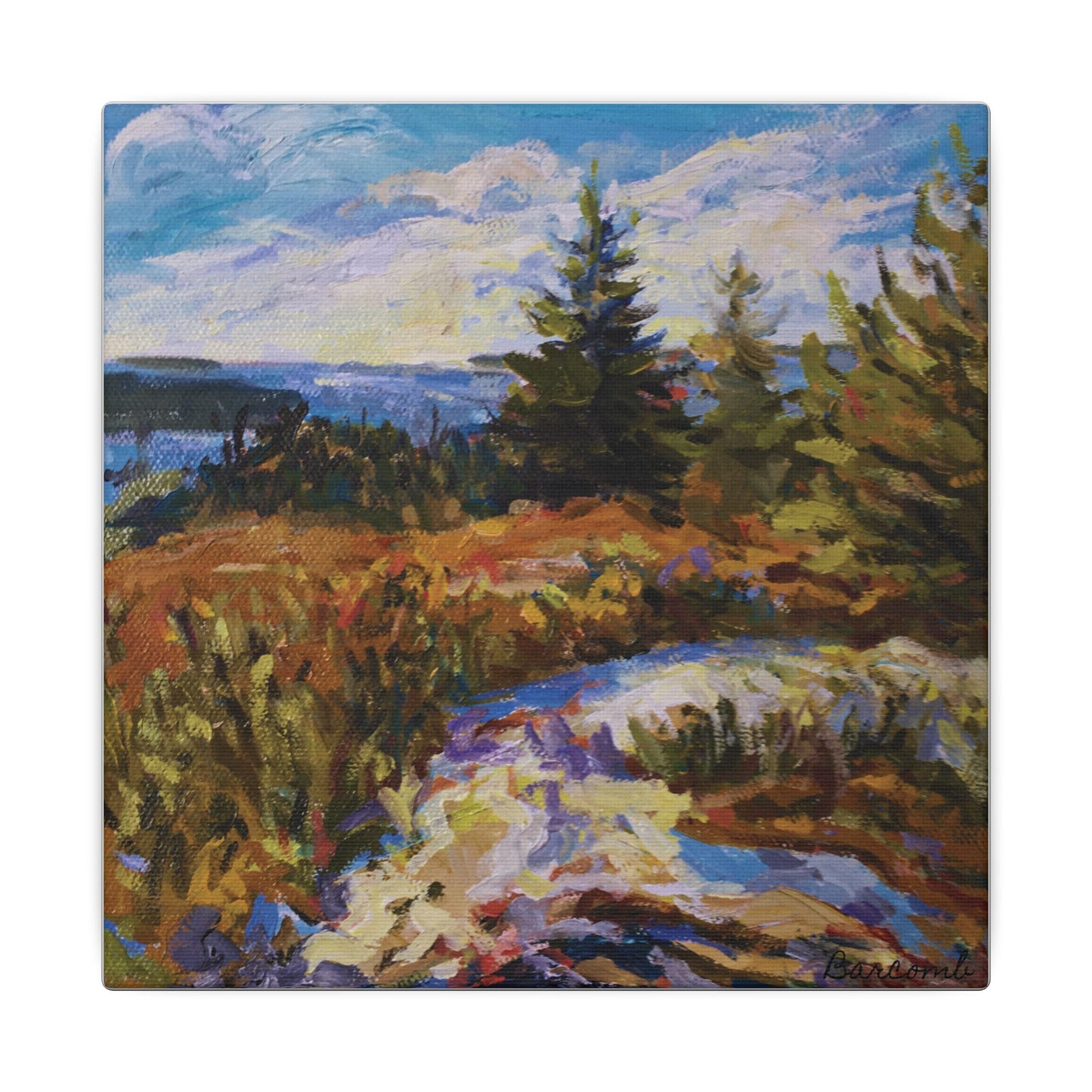 Coastal Pine Landscape Canvas Print — Matte Stretched Wall Art