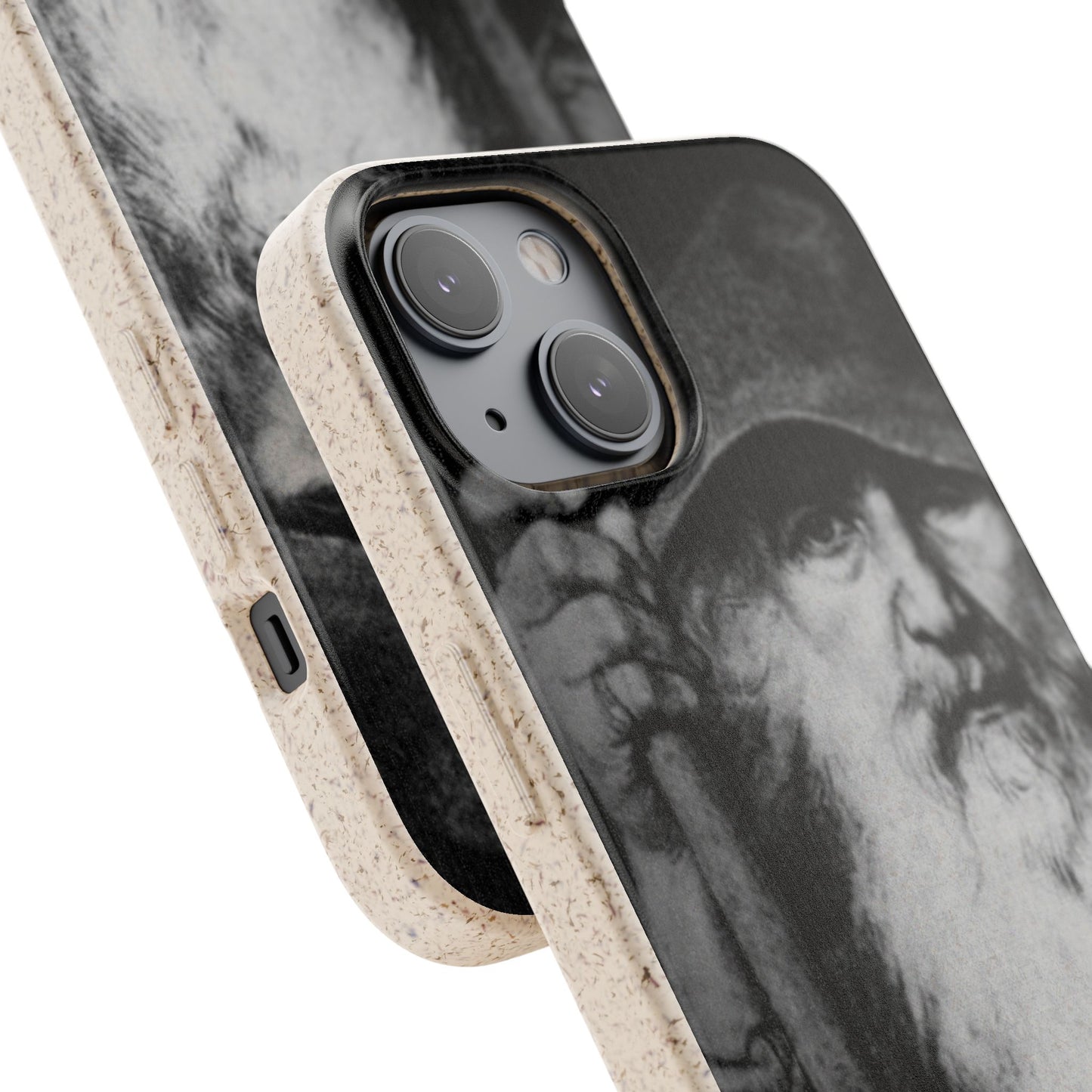 Phone Case — Odin, The Wanderer Portrait Biodegradable iPhone Cover