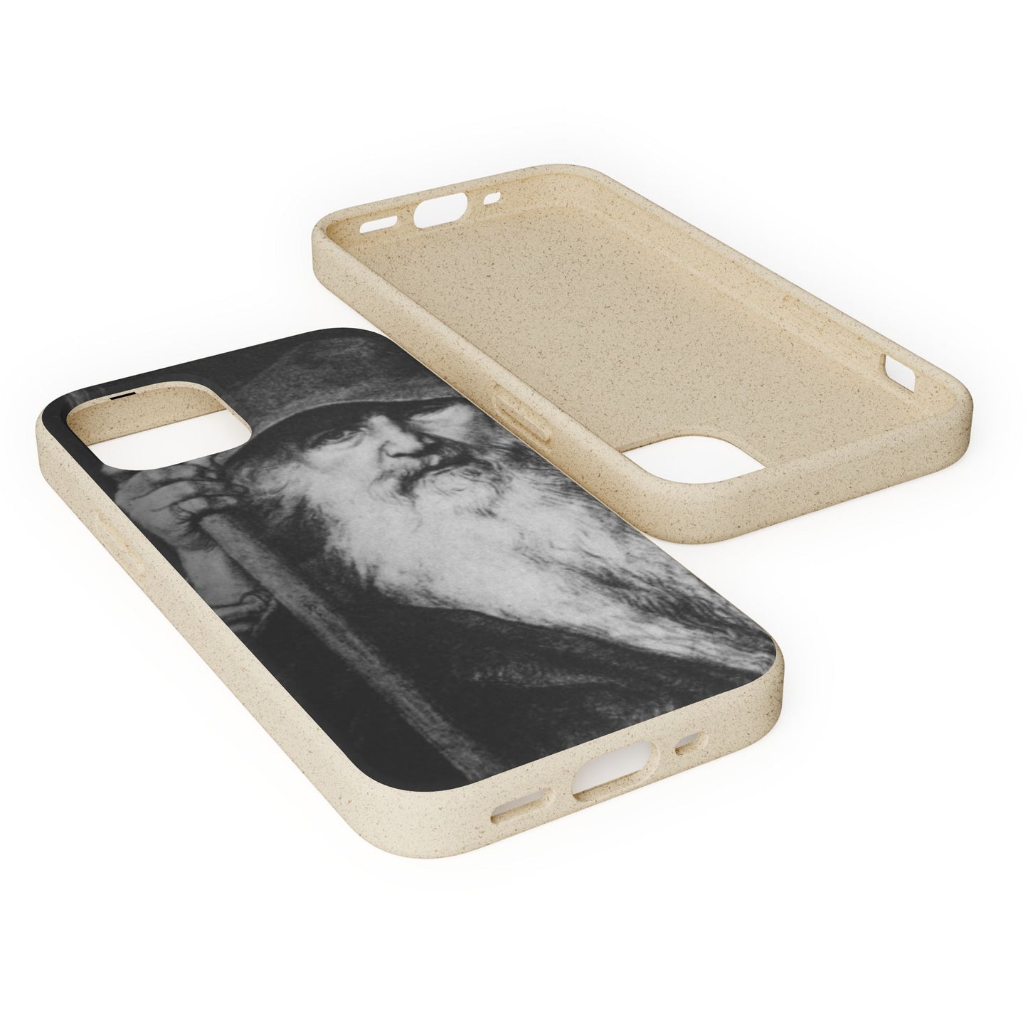 Phone Case — Odin, The Wanderer Portrait Biodegradable iPhone Cover