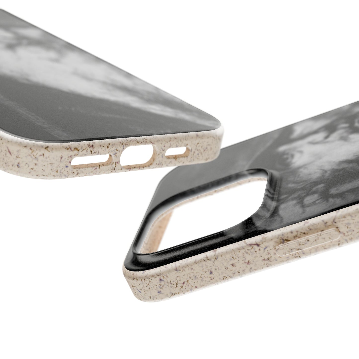 Phone Case — Odin, The Wanderer Portrait Biodegradable iPhone Cover