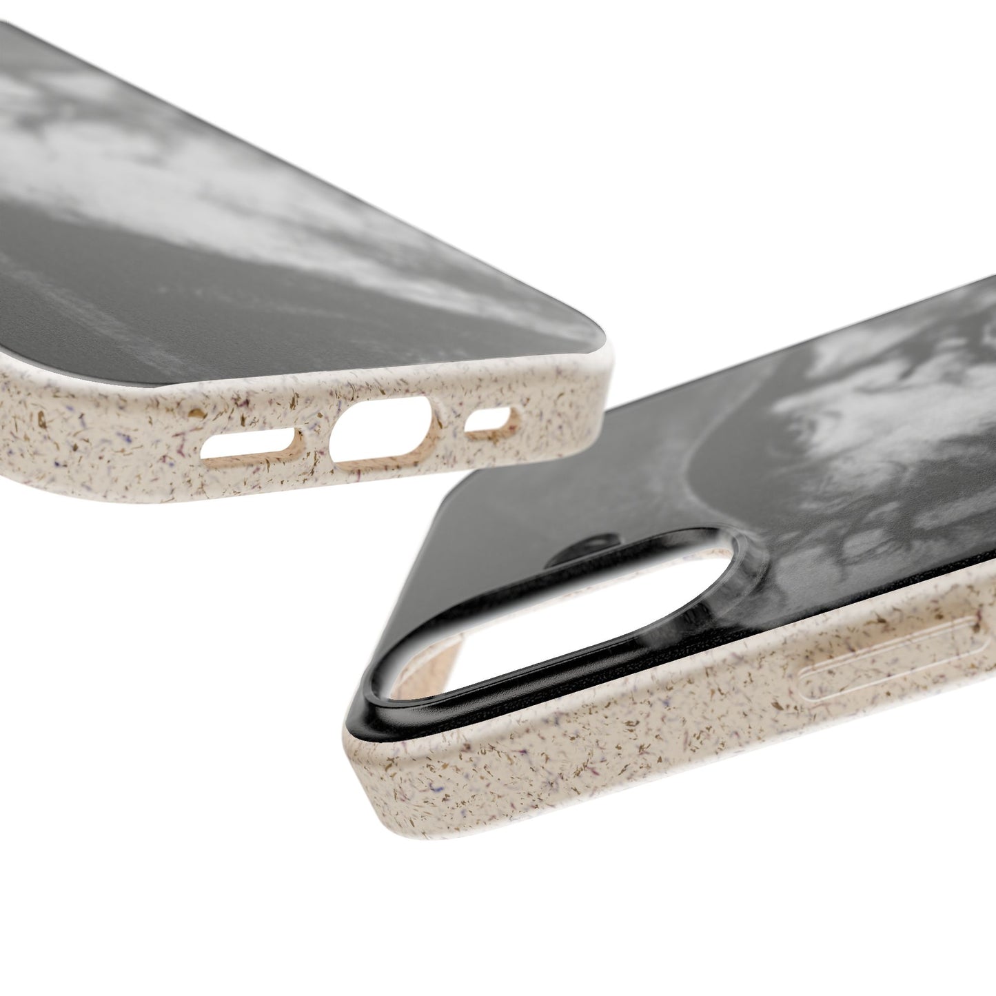 Phone Case — Odin, The Wanderer Portrait Biodegradable iPhone Cover
