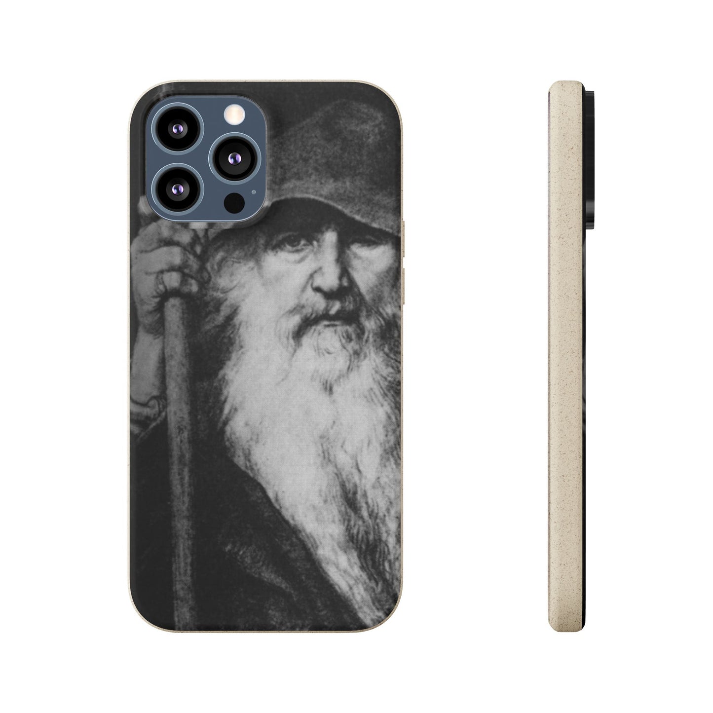 Phone Case — Odin, The Wanderer Portrait Biodegradable iPhone Cover