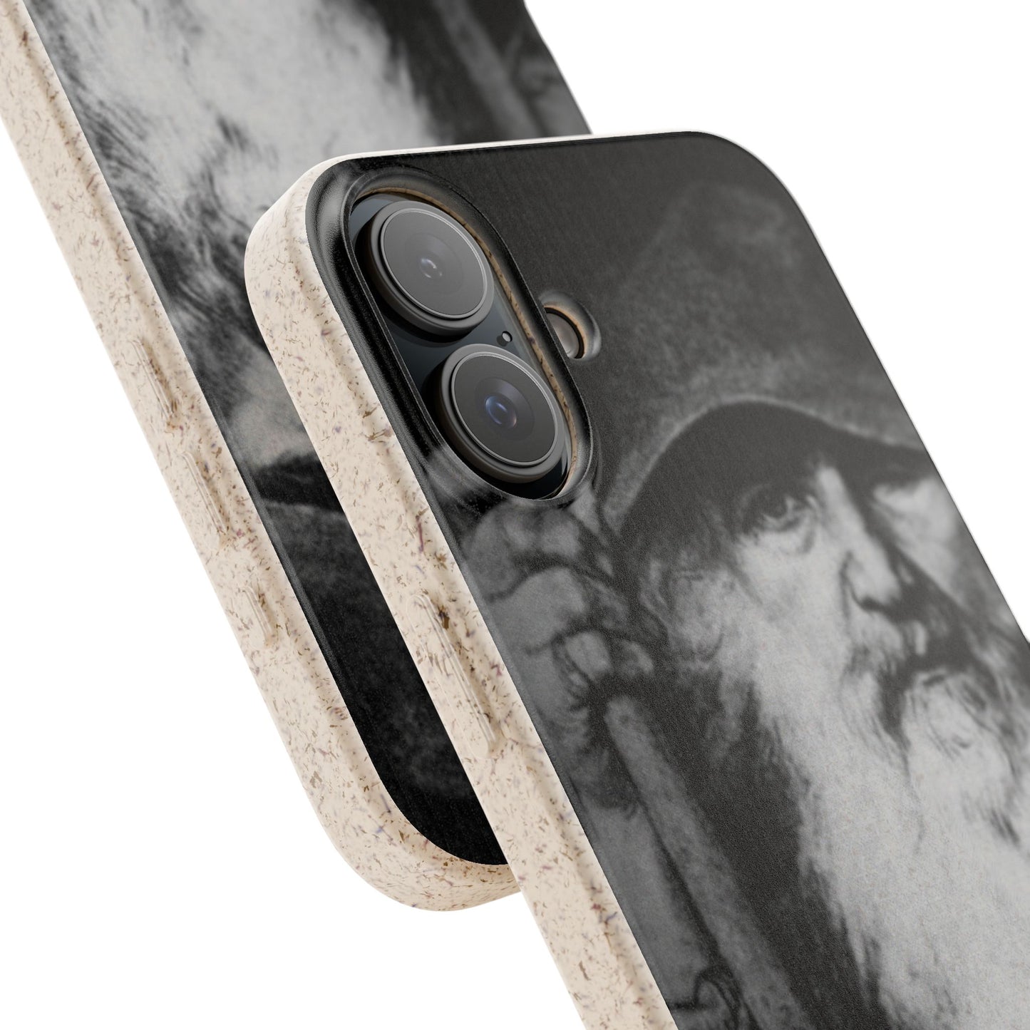 Phone Case — Odin, The Wanderer Portrait Biodegradable iPhone Cover