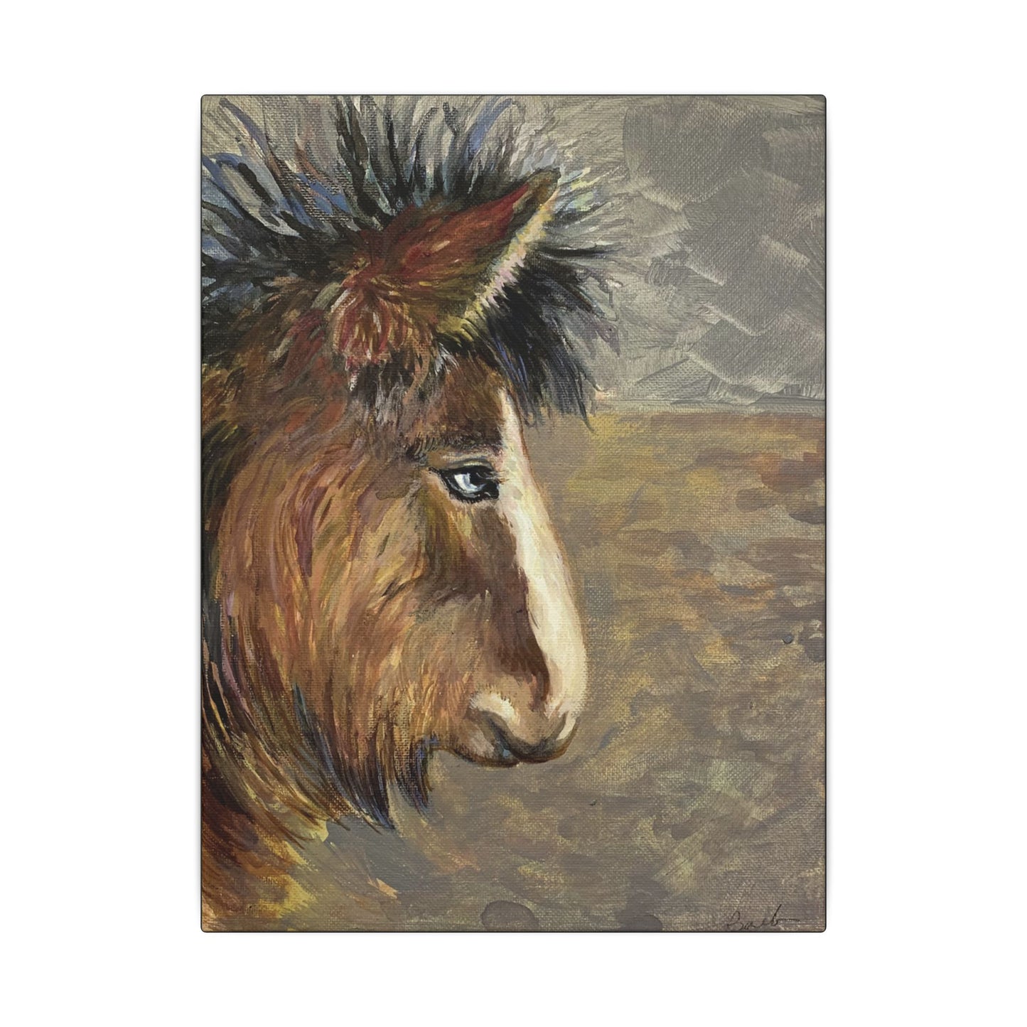 Rustic Icelandic Horse Portrait - Eco-Friendly Canvas