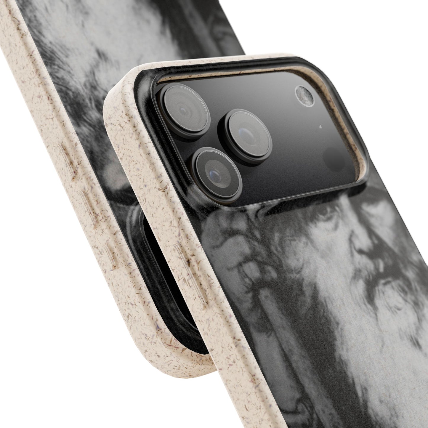 Phone Case — Odin, The Wanderer Portrait Biodegradable iPhone Cover