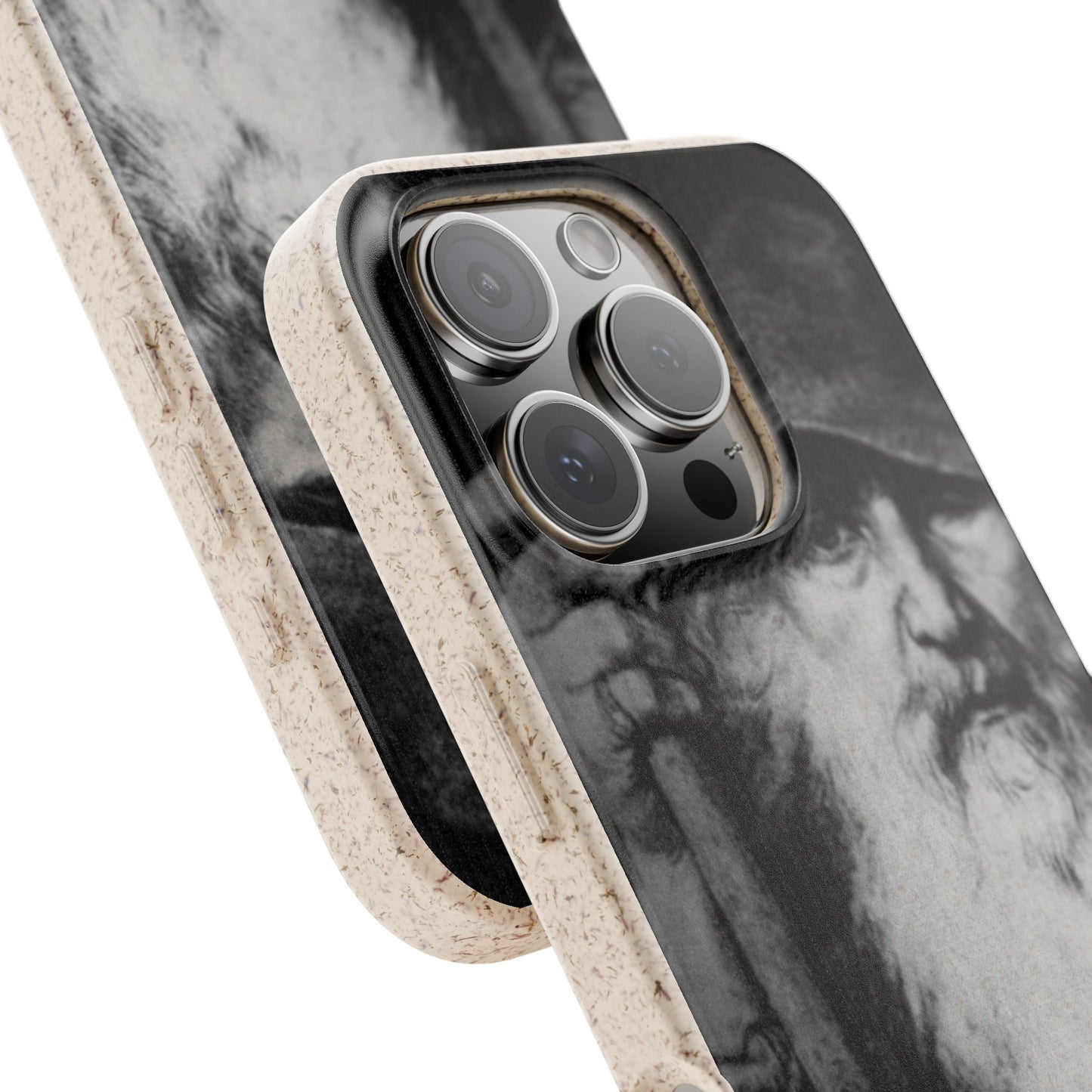 Phone Case — Odin, The Wanderer Portrait Biodegradable iPhone Cover