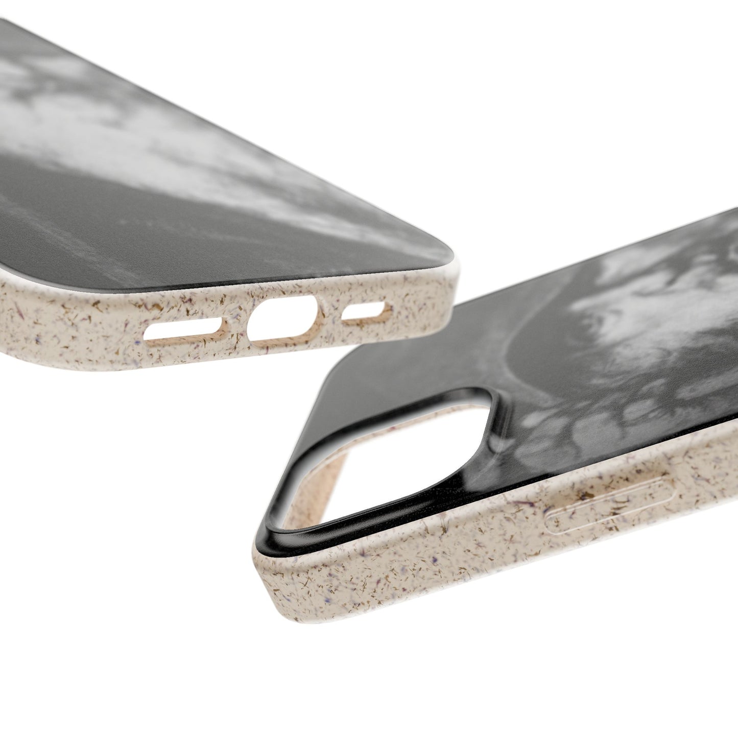 Phone Case — Odin, The Wanderer Portrait Biodegradable iPhone Cover