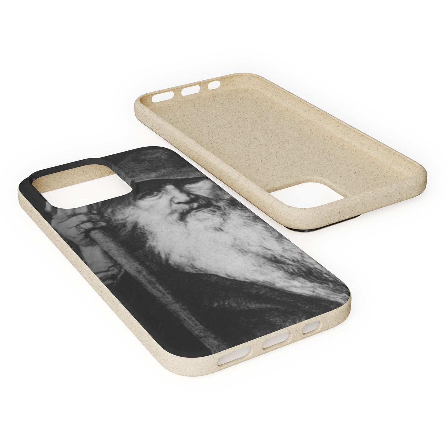Phone Case — Odin, The Wanderer Portrait Biodegradable iPhone Cover