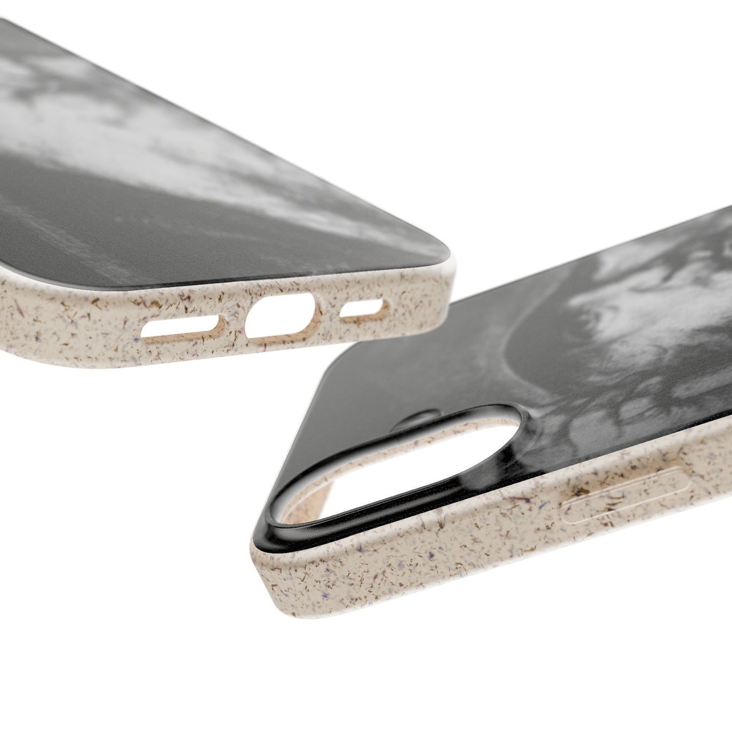 Phone Case — Odin, The Wanderer Portrait Biodegradable iPhone Cover