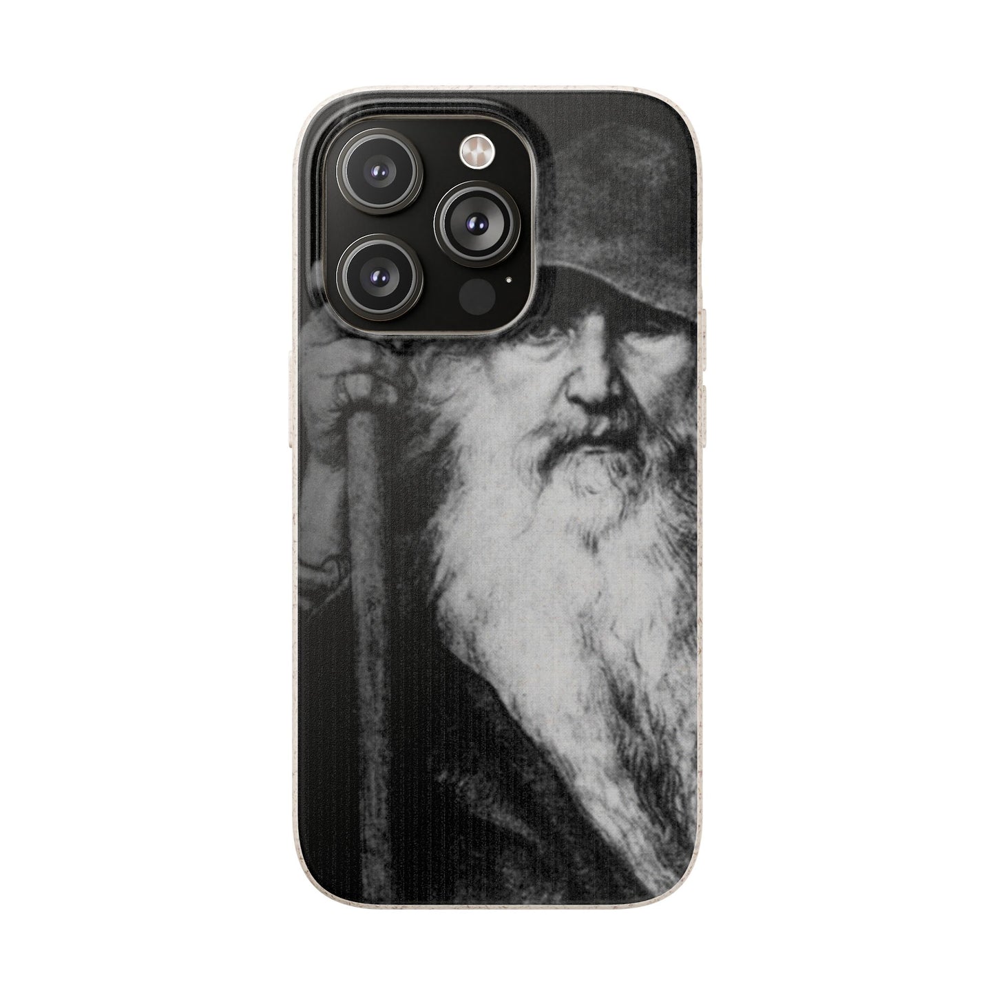 Phone Case — Odin, The Wanderer Portrait Biodegradable iPhone Cover