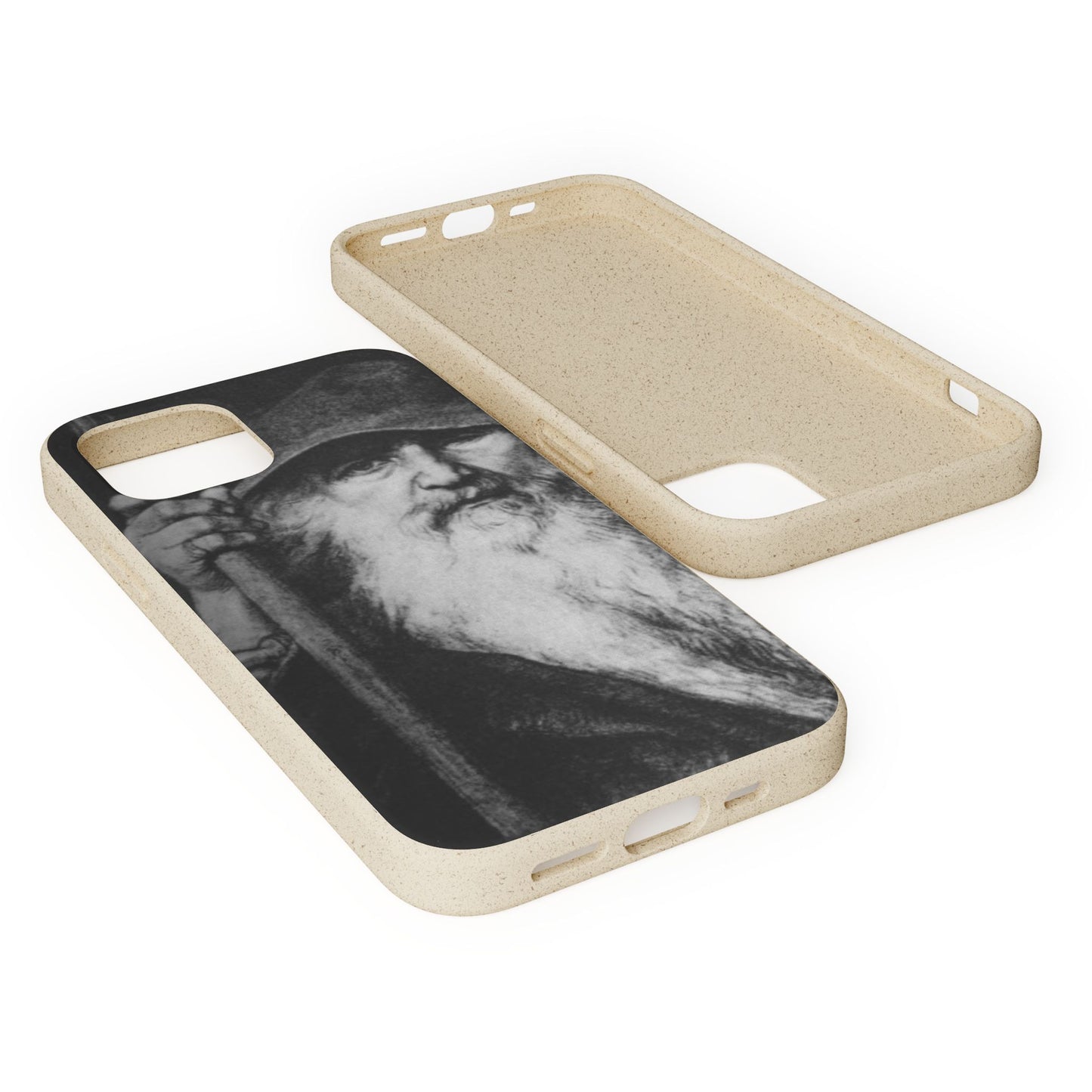 Phone Case — Odin, The Wanderer Portrait Biodegradable iPhone Cover