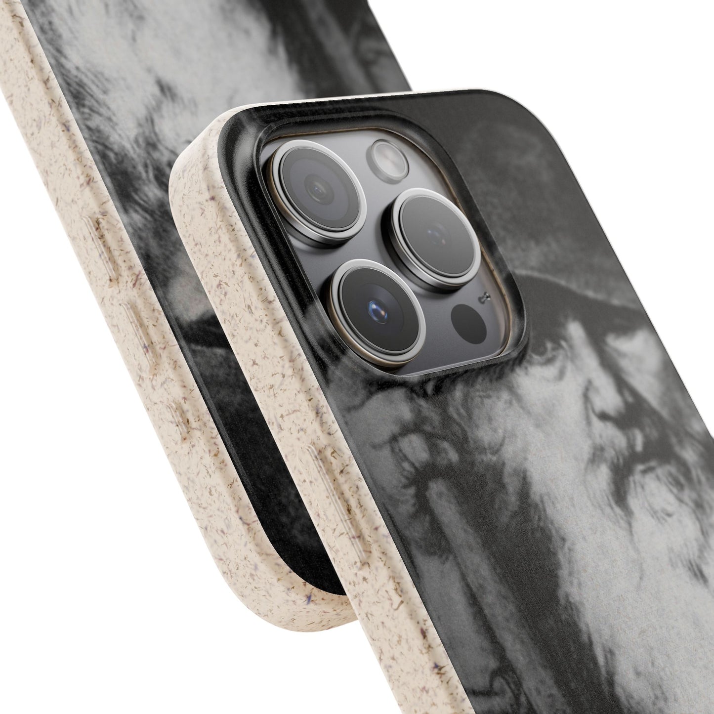 Phone Case — Odin, The Wanderer Portrait Biodegradable iPhone Cover