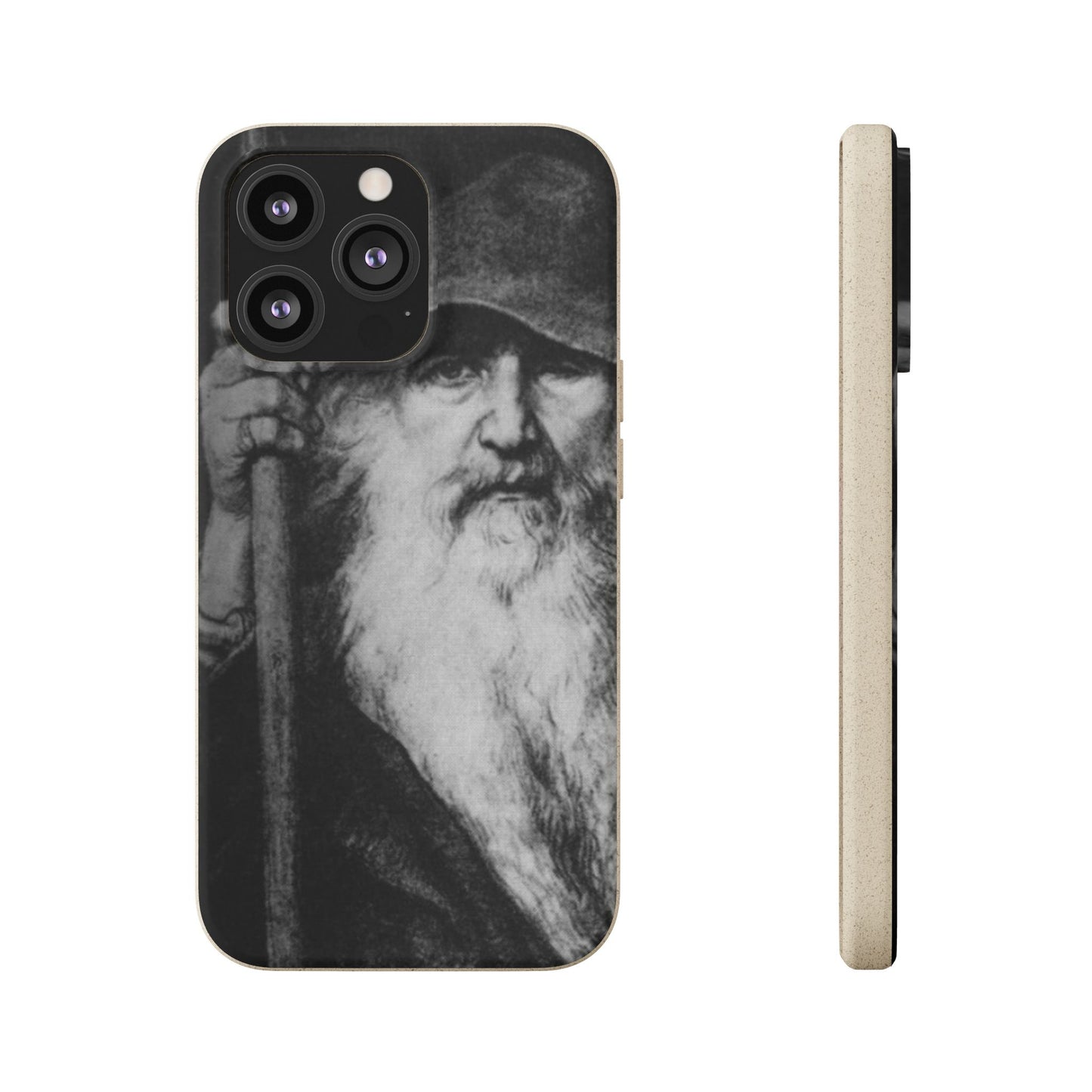 Phone Case — Odin, The Wanderer Portrait Biodegradable iPhone Cover