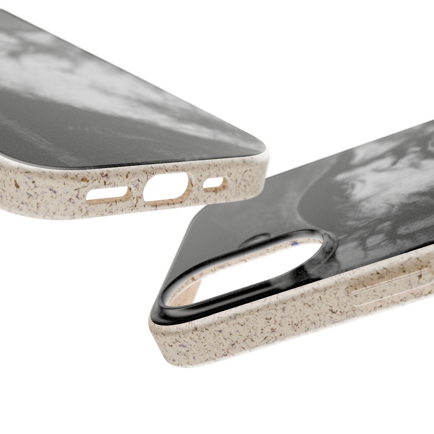Phone Case — Odin, The Wanderer Portrait Biodegradable iPhone Cover