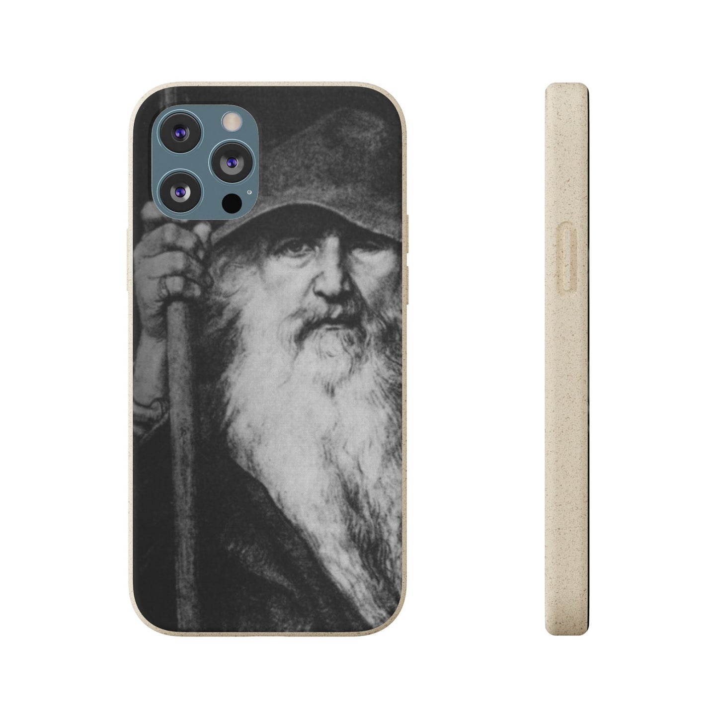 Phone Case — Odin, The Wanderer Portrait Biodegradable iPhone Cover