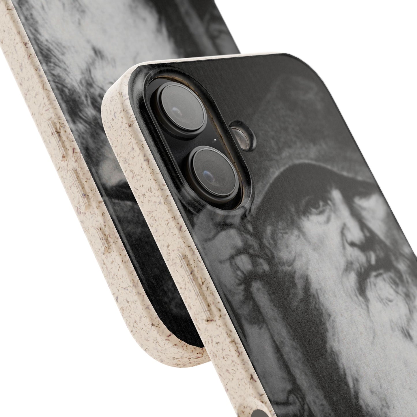 Phone Case — Odin, The Wanderer Portrait Biodegradable iPhone Cover