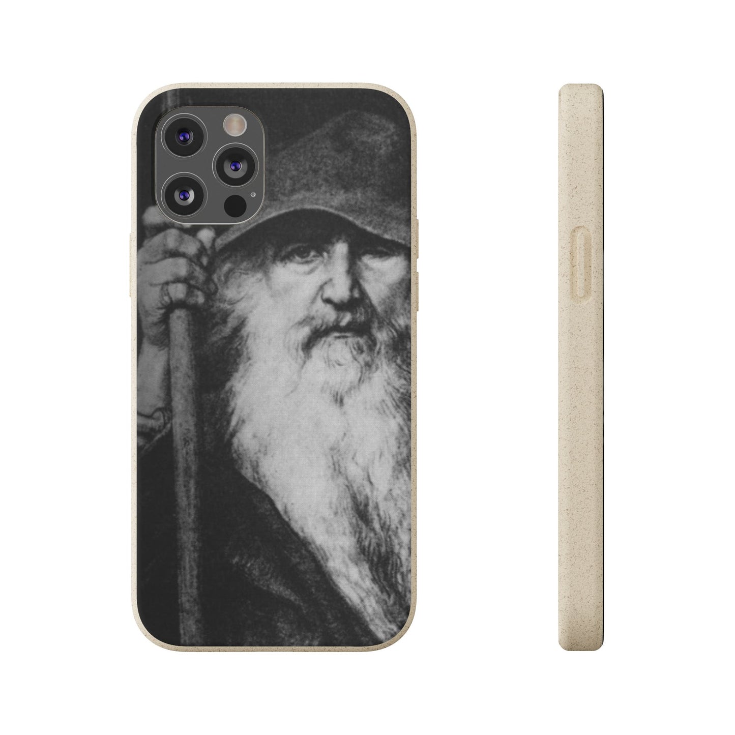 Phone Case — Odin, The Wanderer Portrait Biodegradable iPhone Cover