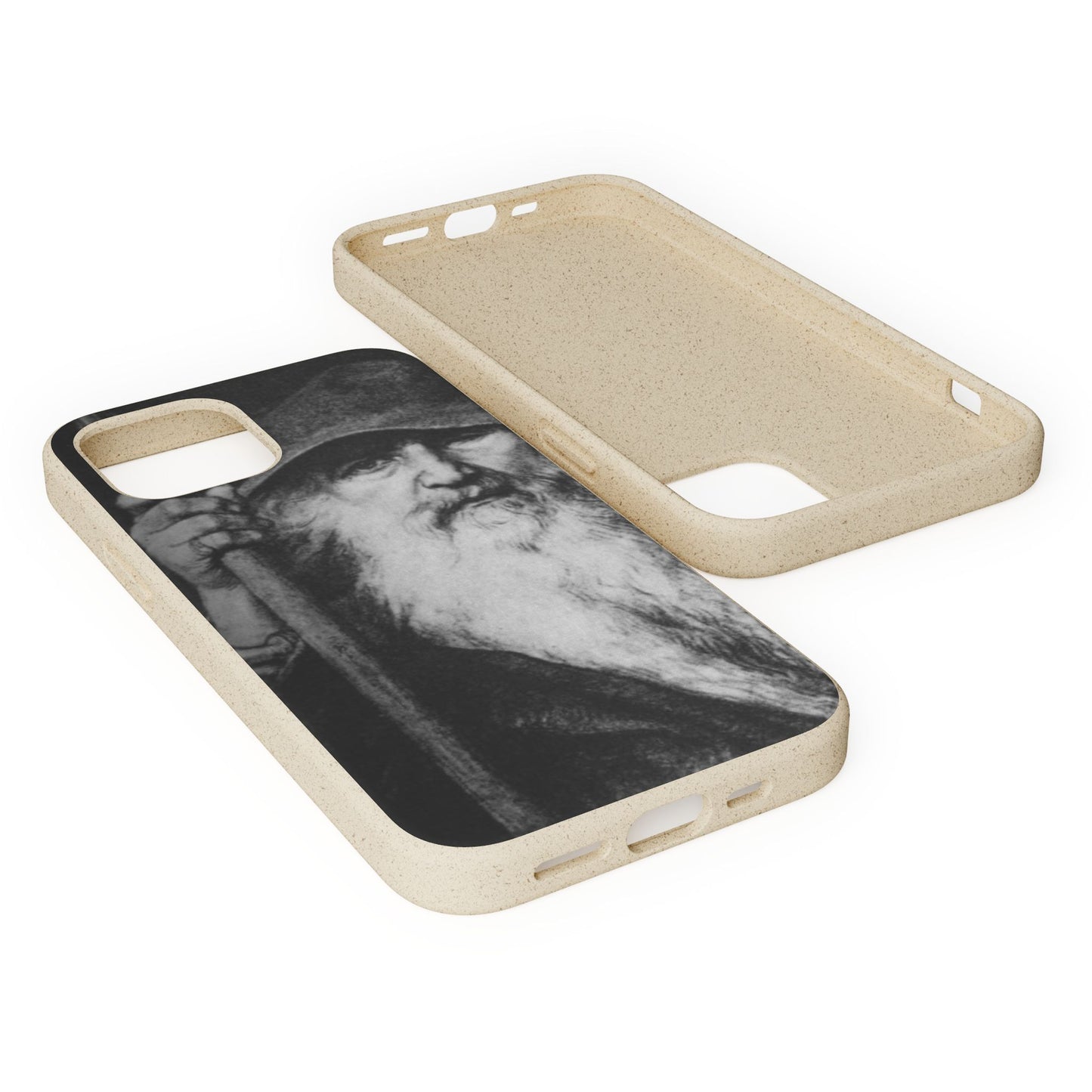 Phone Case — Odin, The Wanderer Portrait Biodegradable iPhone Cover