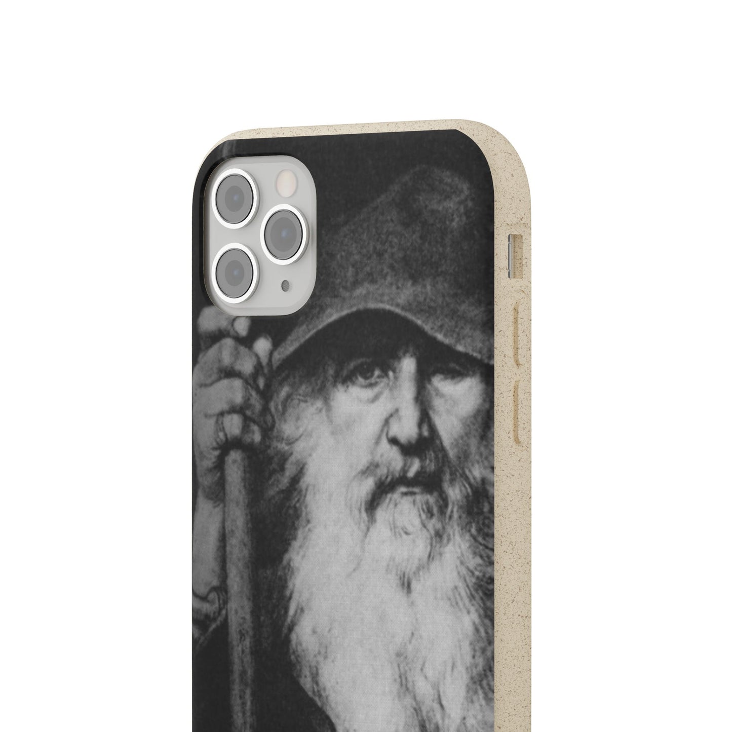 Phone Case — Odin, The Wanderer Portrait Biodegradable iPhone Cover