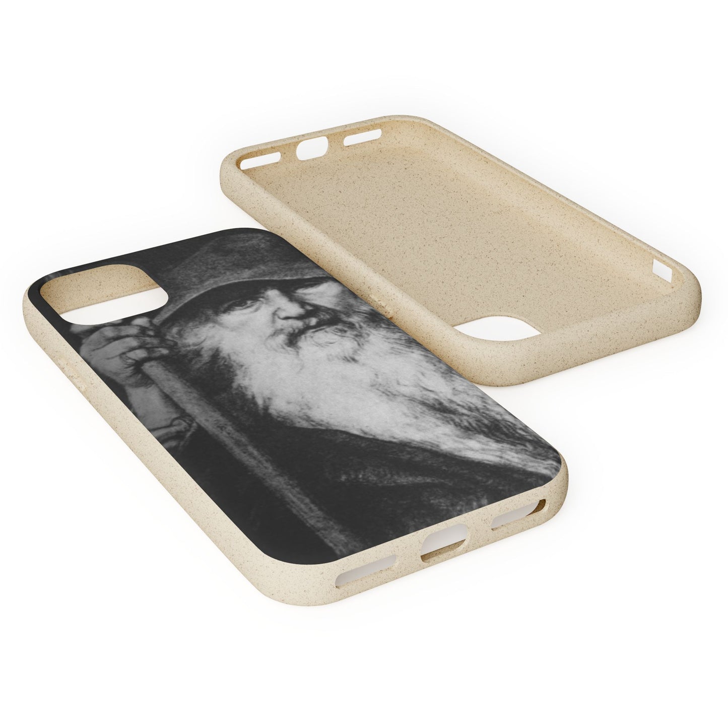 Phone Case — Odin, The Wanderer Portrait Biodegradable iPhone Cover
