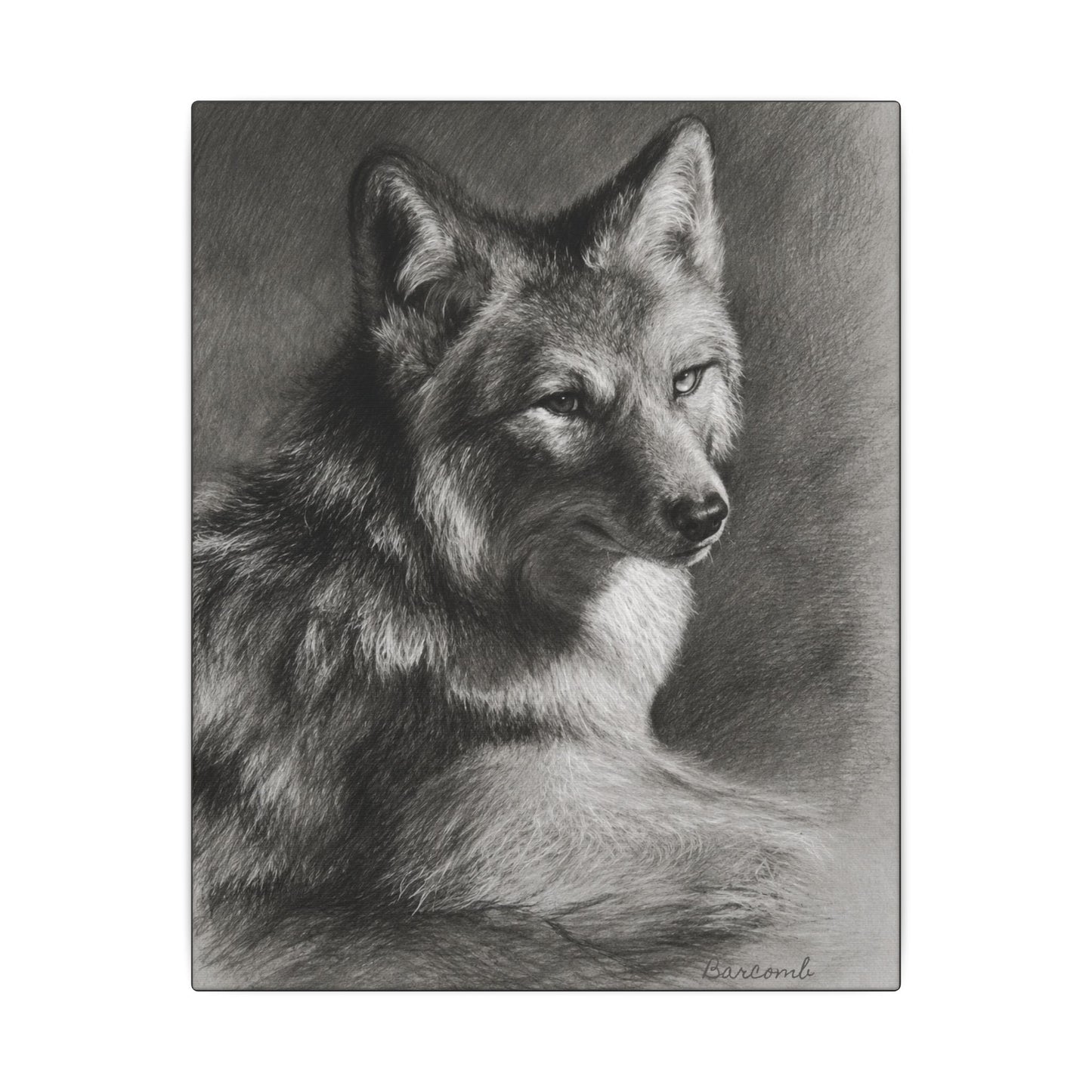 Gray Wolf Portrait Canvas — Realistic Wildlife Wall Art (Matte Stretched)