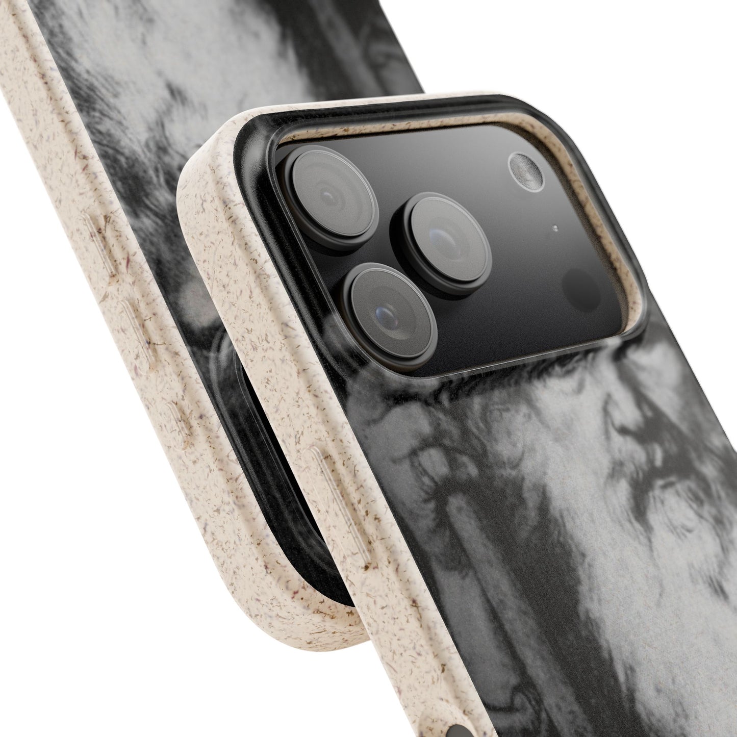 Phone Case — Odin, The Wanderer Portrait Biodegradable iPhone Cover