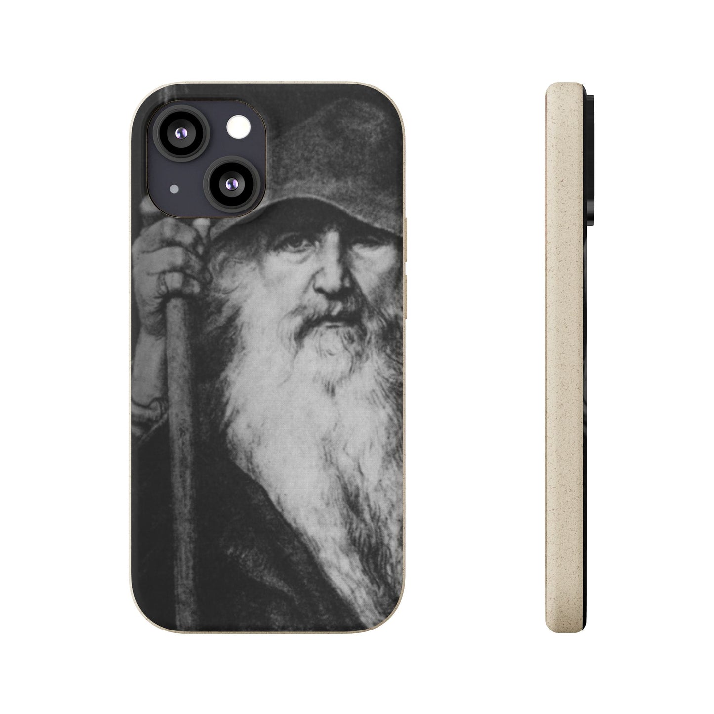 Phone Case — Odin, The Wanderer Portrait Biodegradable iPhone Cover