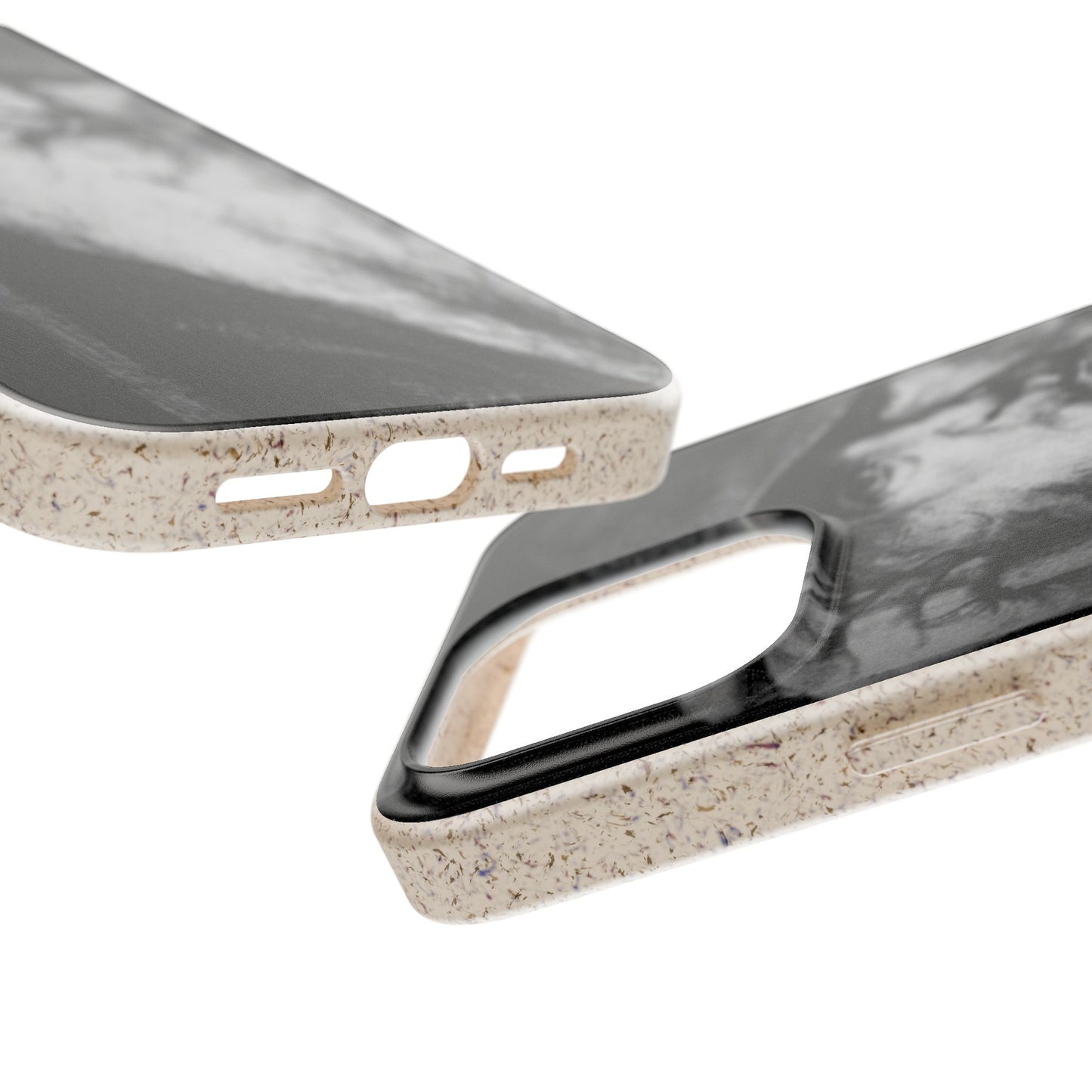Phone Case — Odin, The Wanderer Portrait Biodegradable iPhone Cover