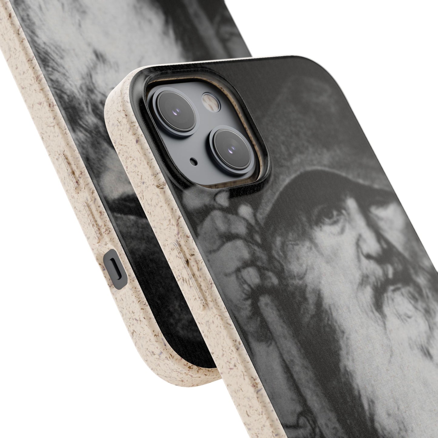Phone Case — Odin, The Wanderer Portrait Biodegradable iPhone Cover
