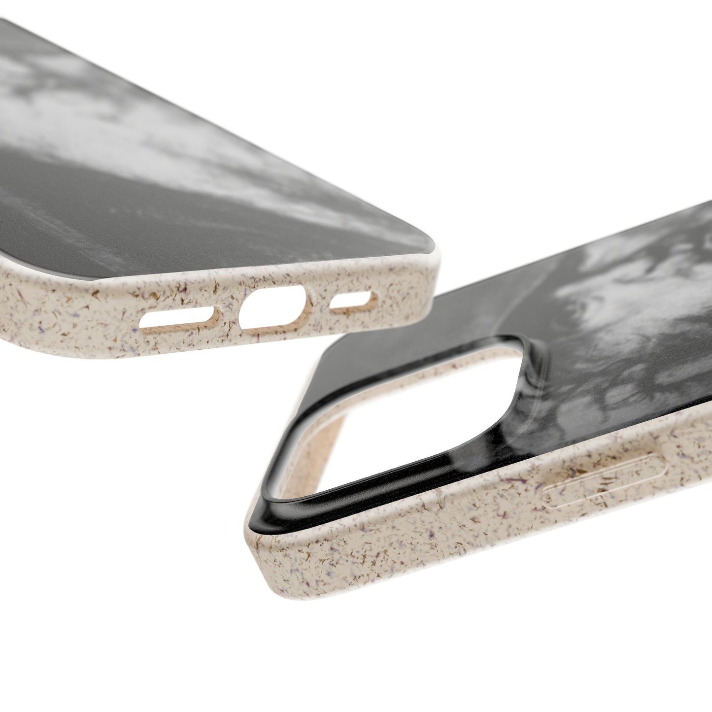 Phone Case — Odin, The Wanderer Portrait Biodegradable iPhone Cover