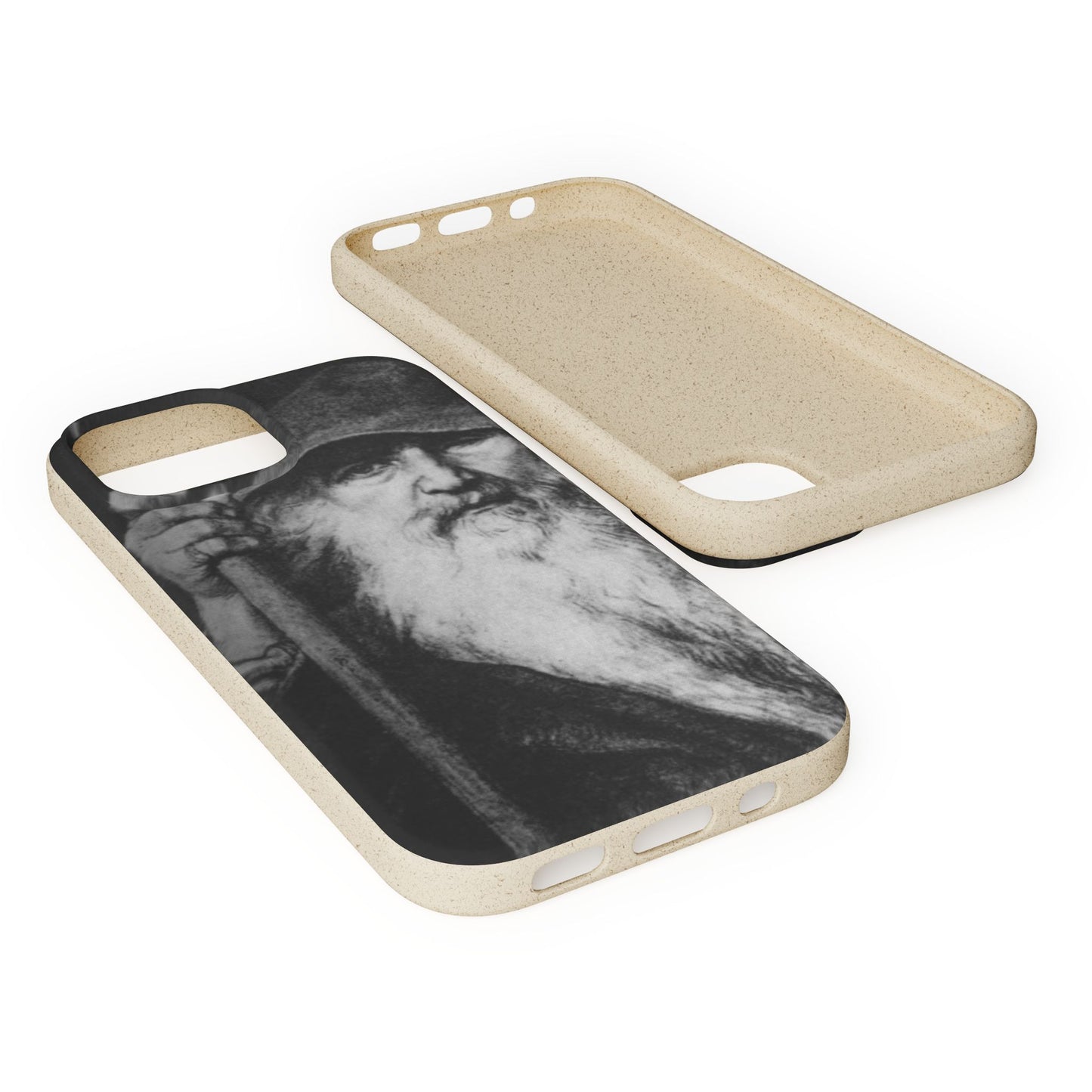 Phone Case — Odin, The Wanderer Portrait Biodegradable iPhone Cover