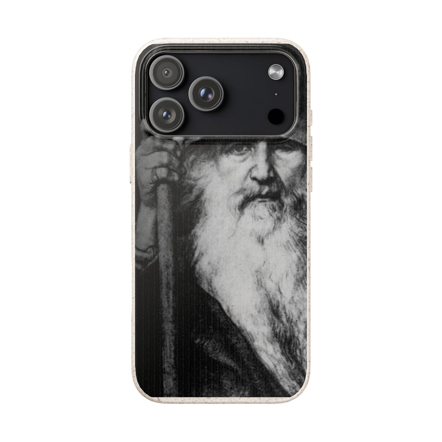 Phone Case — Odin, The Wanderer Portrait Biodegradable iPhone Cover